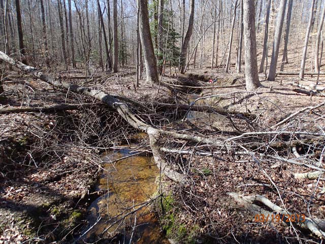 Field photo showing stream conditions at site PRMT-177-S-2013-MidpointDownstream