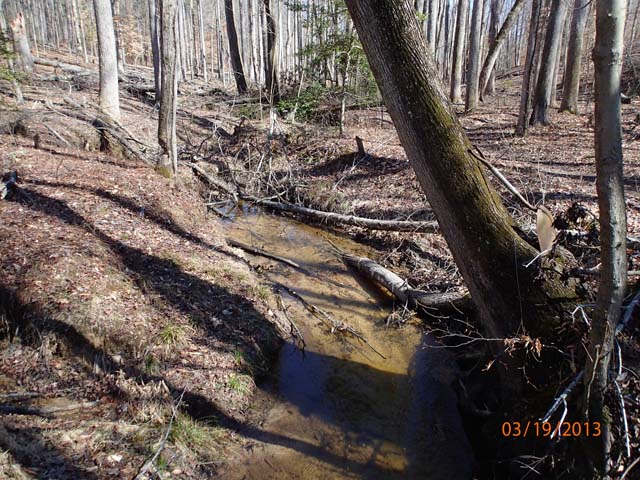 Field photo showing stream conditions at site PRMT-177-S-2013-MidpointUpstream