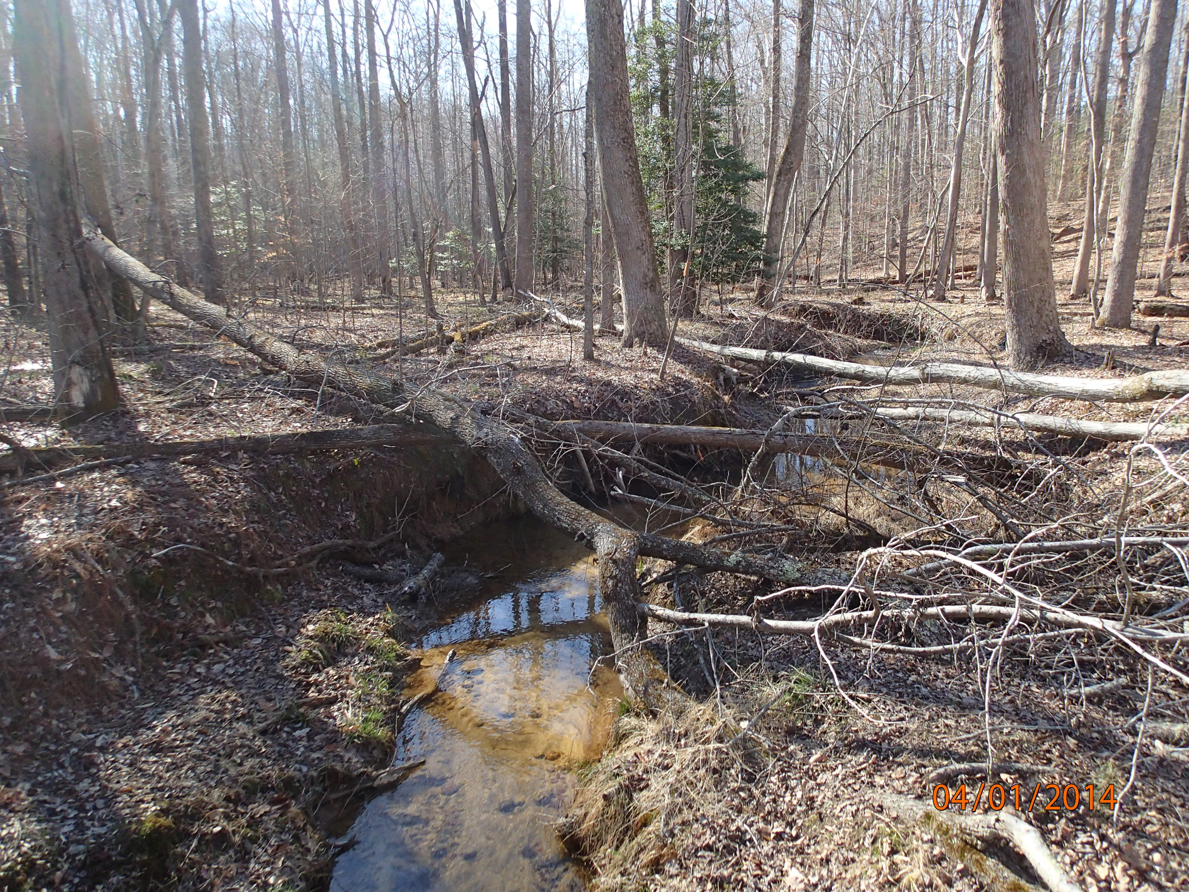 Field photo showing stream conditions at site PRMT-177-S-2014-MidpointDownstream