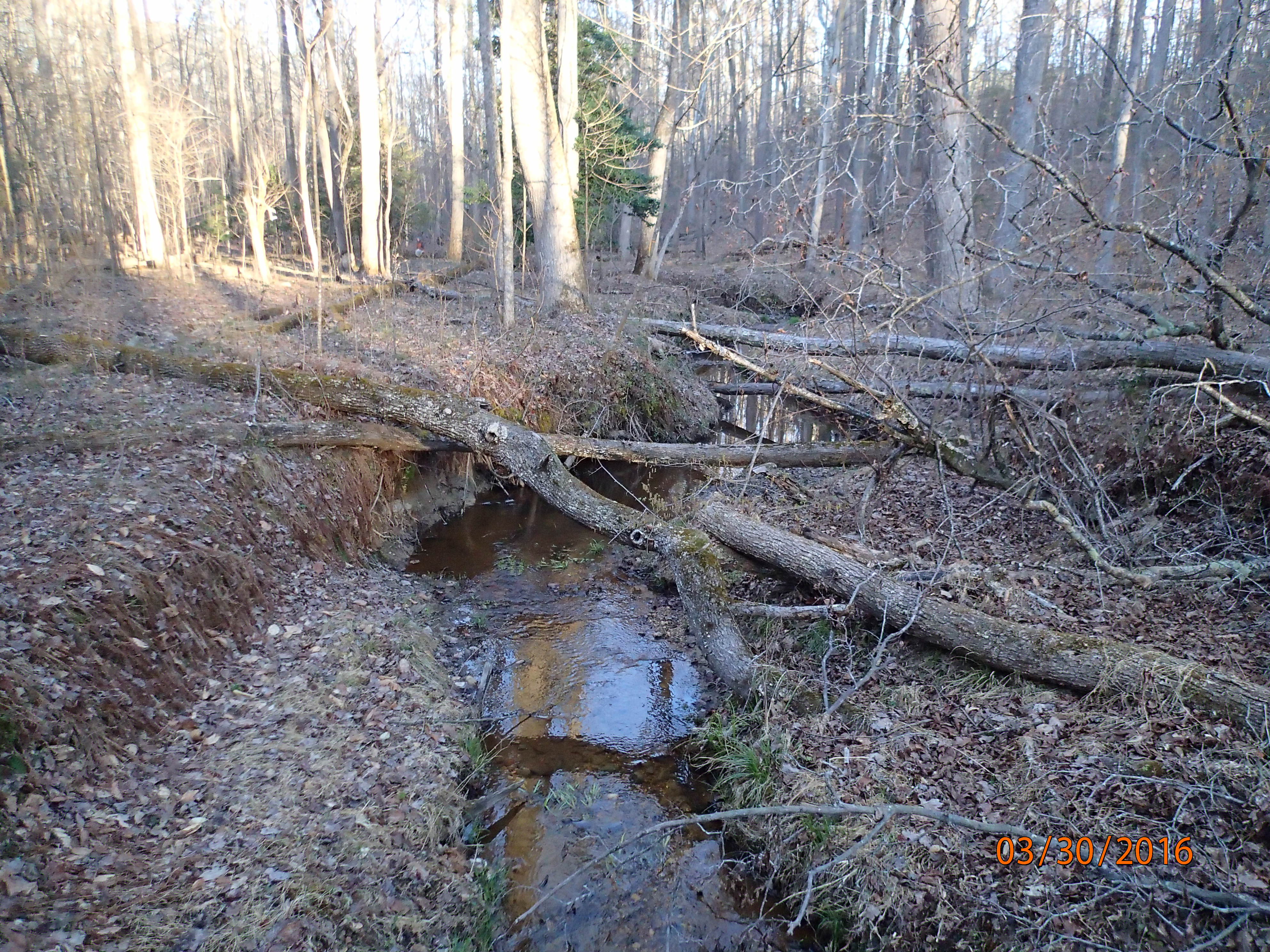 Field photo showing stream conditions at site PRMT-177-S-2016-MidpointBridgeDownstream