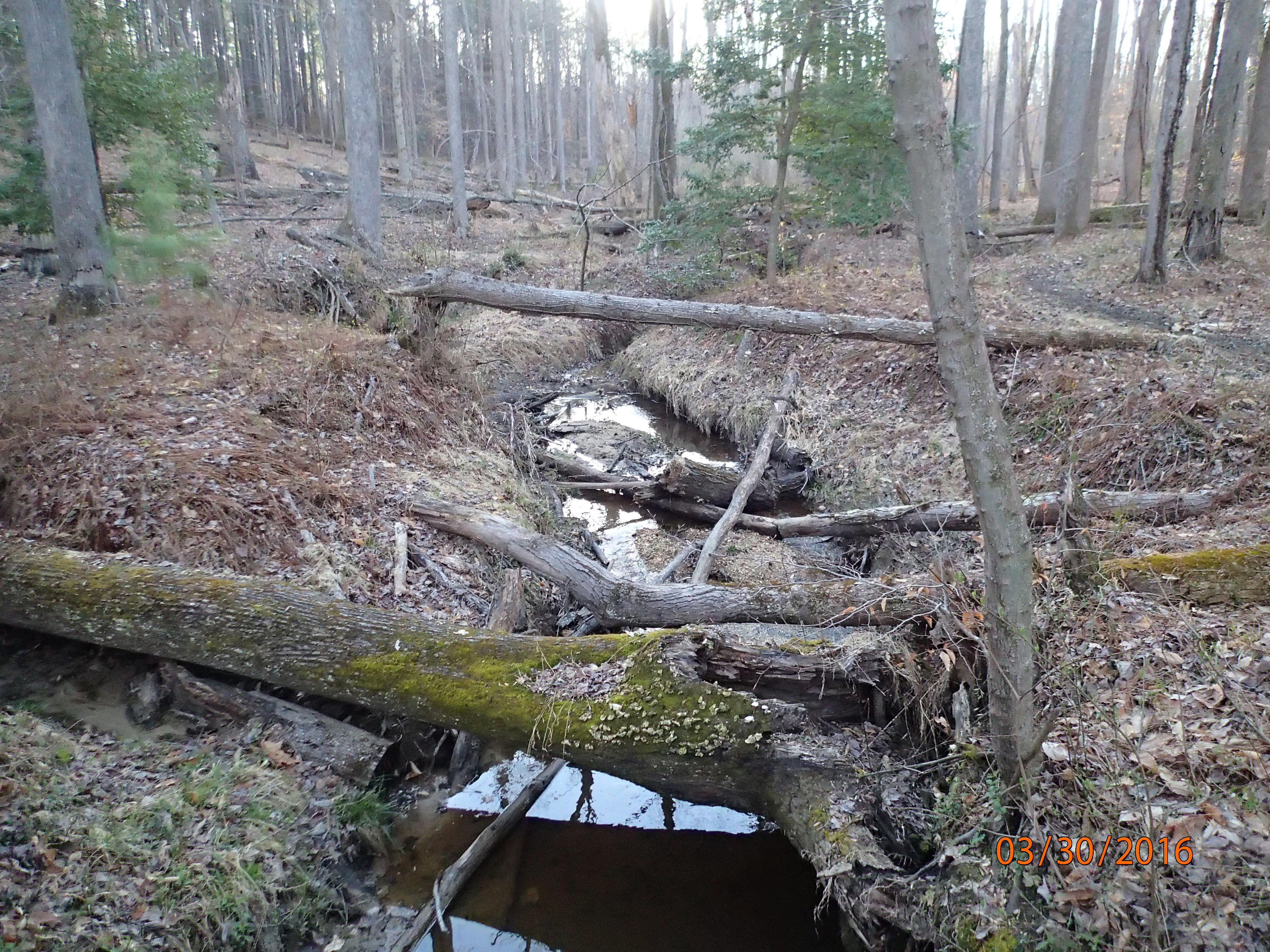 Field photo showing stream conditions at site PRMT-177-S-2016-MidpointBridgeUpstream