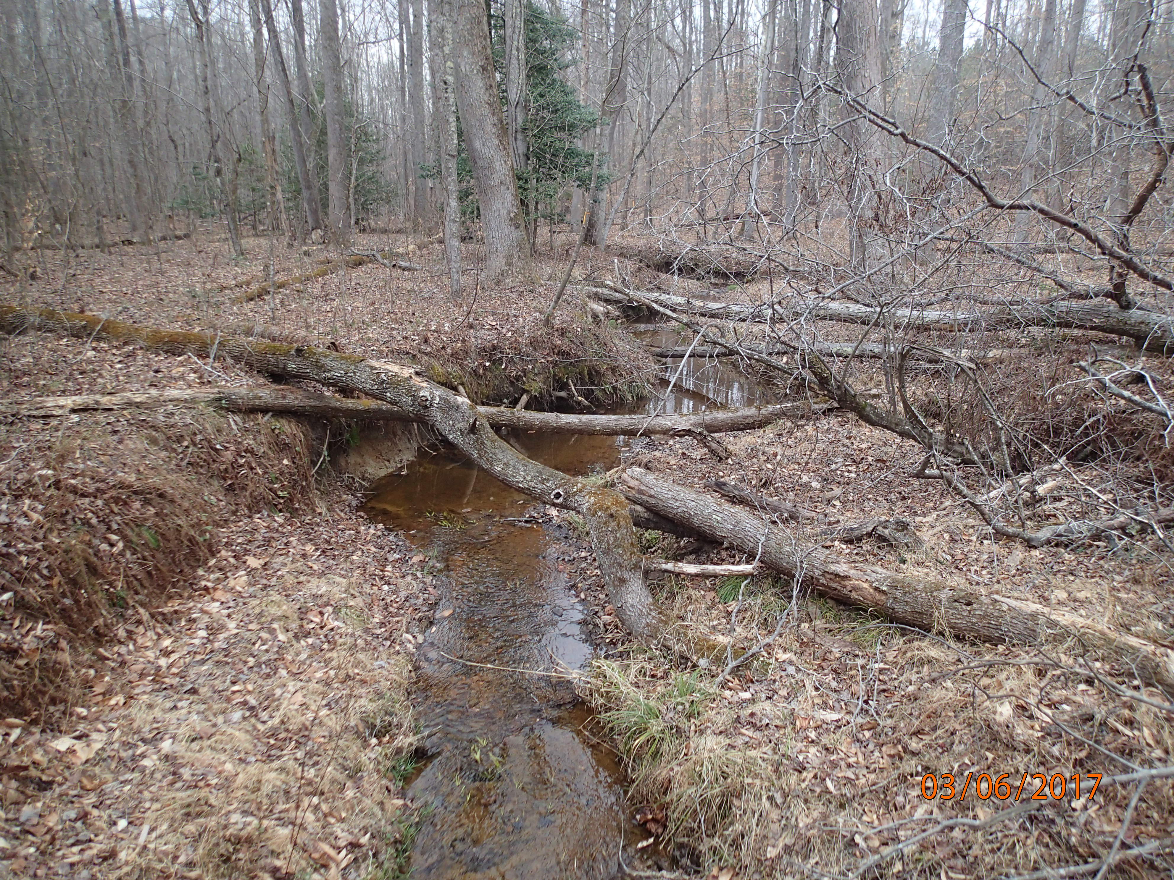 Field photo showing stream conditions at site PRMT-177-S-2017-MidpointBridgeDownstream