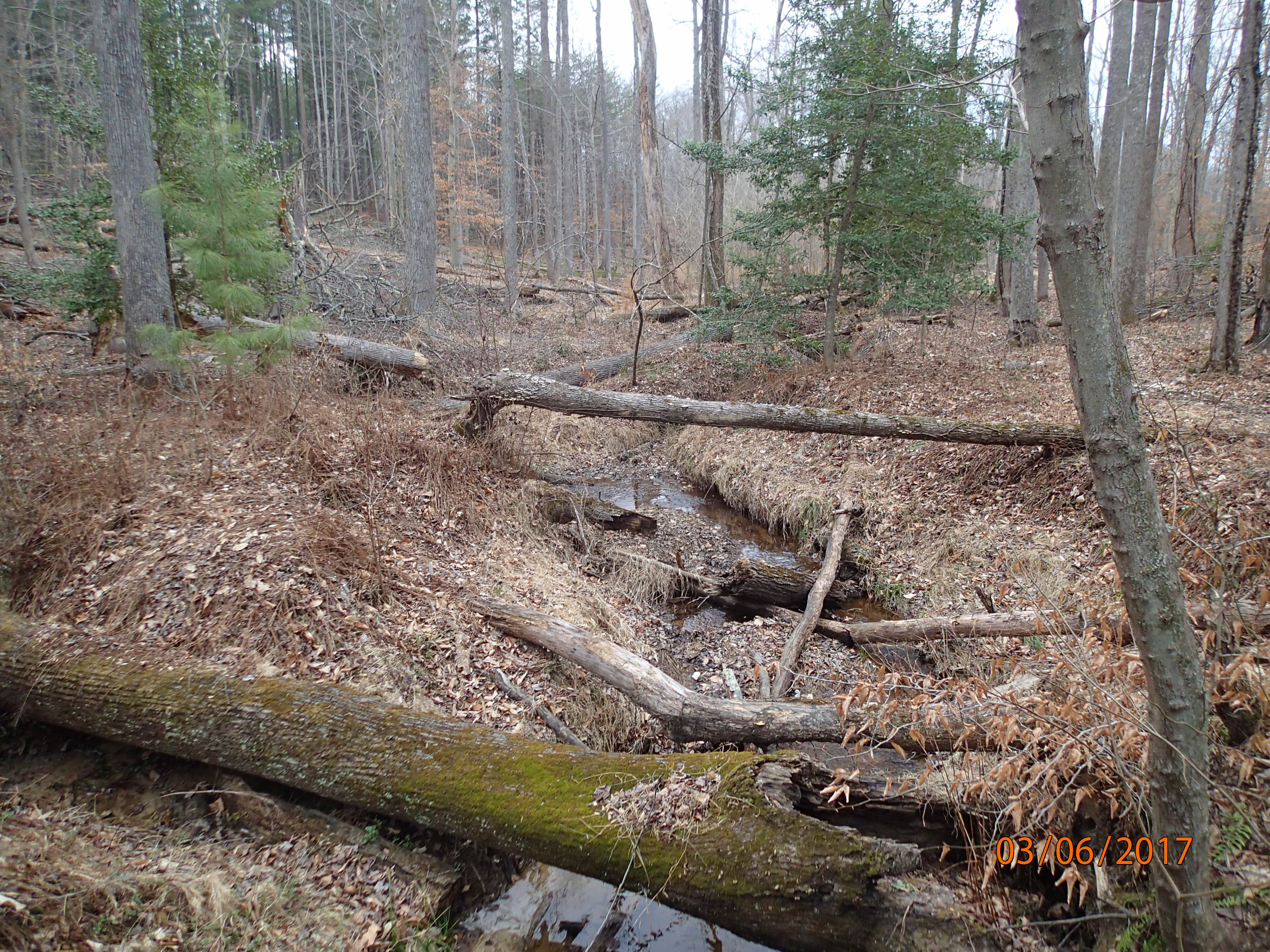 Field photo showing stream conditions at site PRMT-177-S-2017-MidpointBridgeUpstream