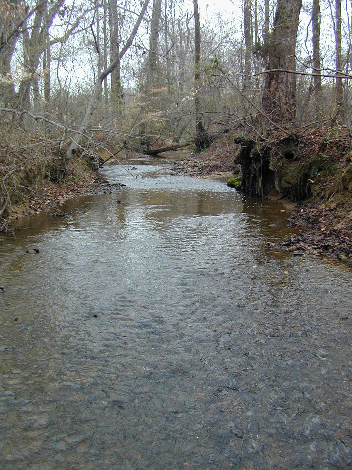 Field photo showing stream conditions at site PRMT-201-R-2002-436