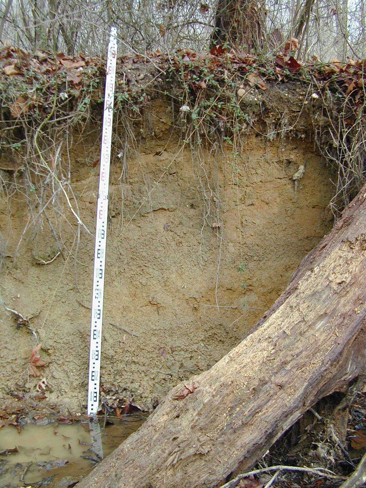 Field photo showing stream conditions at site PRMT-201-R-2002-437
