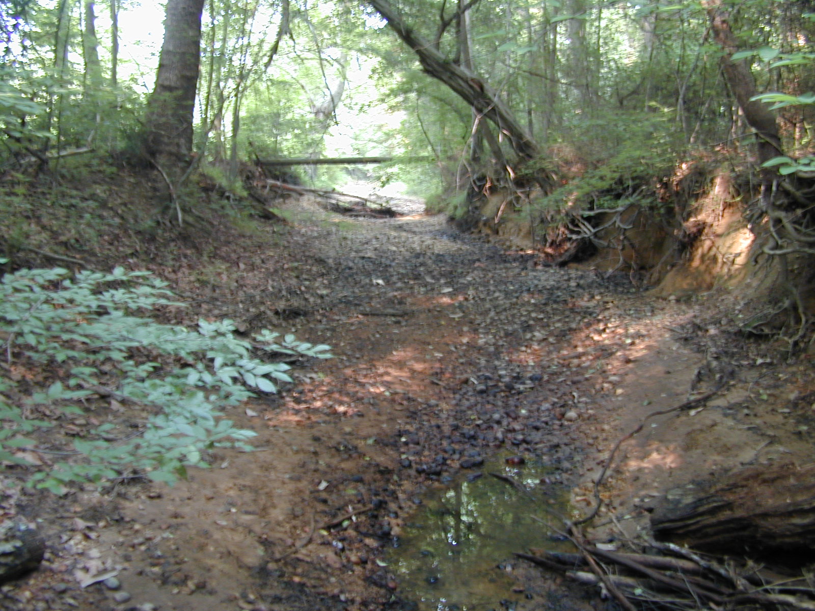 Field photo showing stream conditions at site PRMT-201-R-2002-569