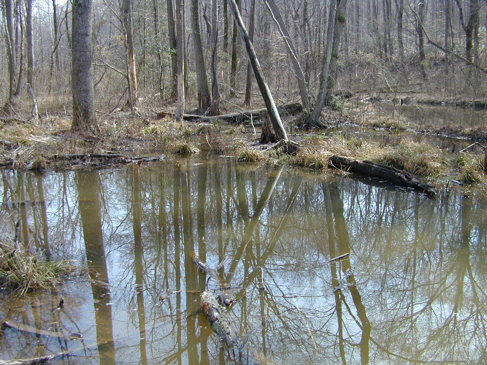 Field photo showing stream conditions at site PRMT-206-R-2002-414