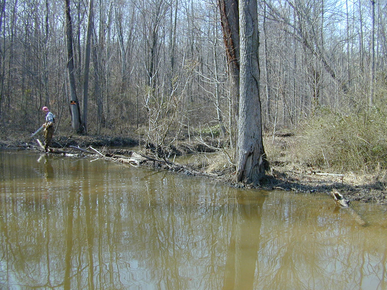 Field photo showing stream conditions at site PRMT-206-R-2002-415