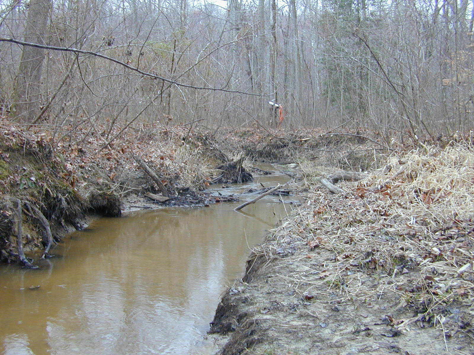 Field photo showing stream conditions at site PRMT-206-R-2004-1