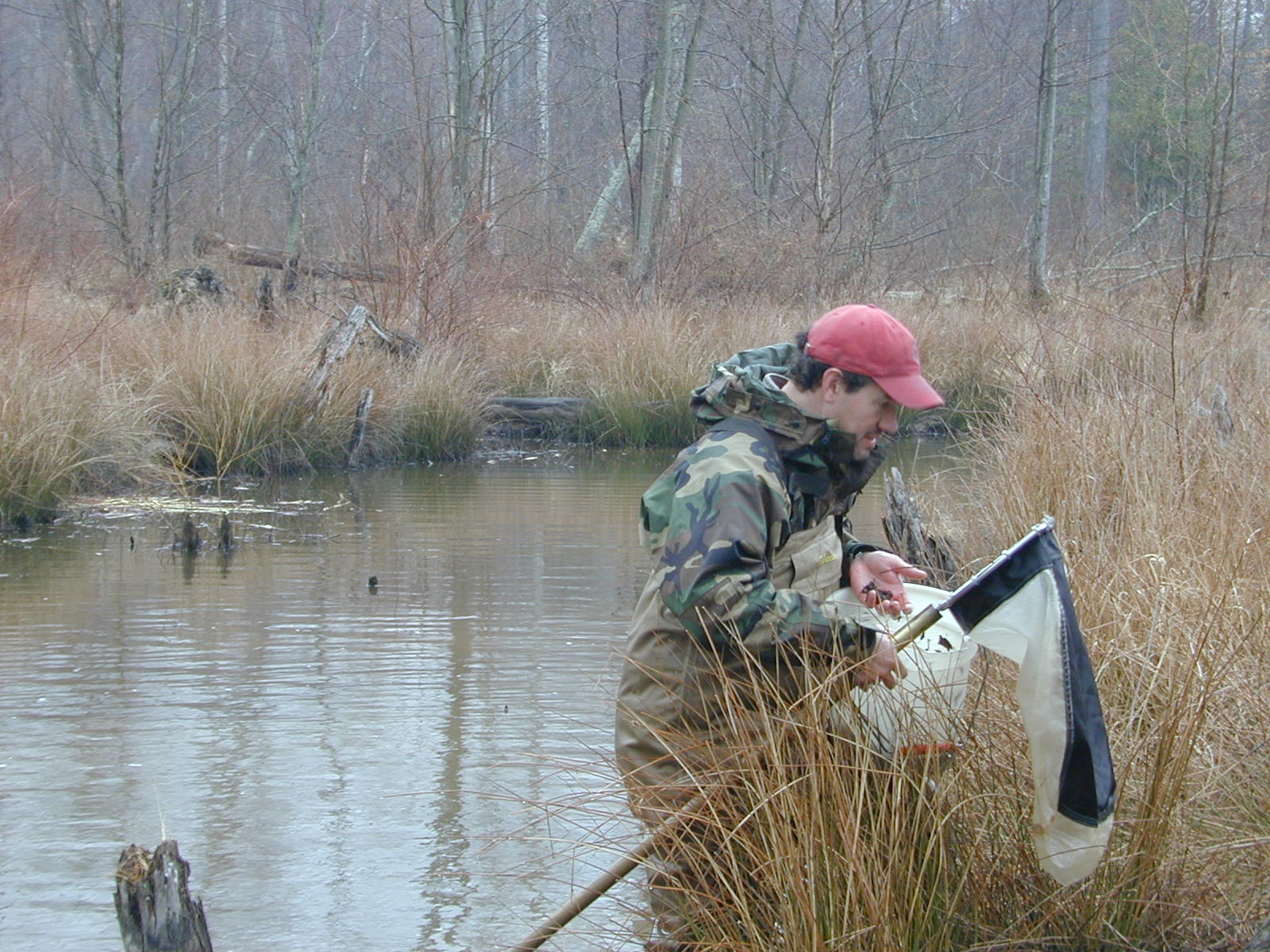 Field photo showing stream conditions at site PRMT-207-R-2004-1