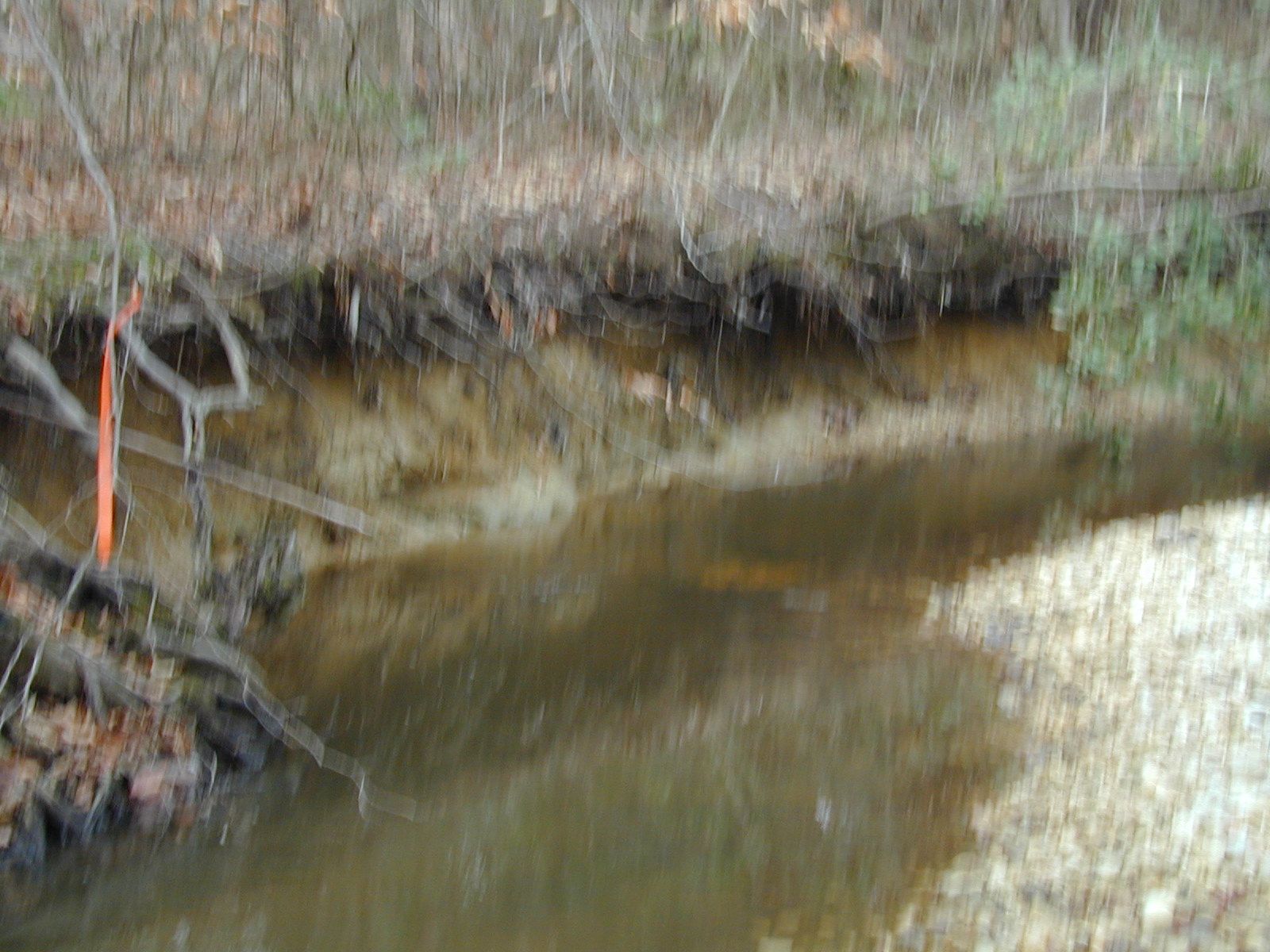 Field photo showing stream conditions at site PRMT-315-R-2002-433
