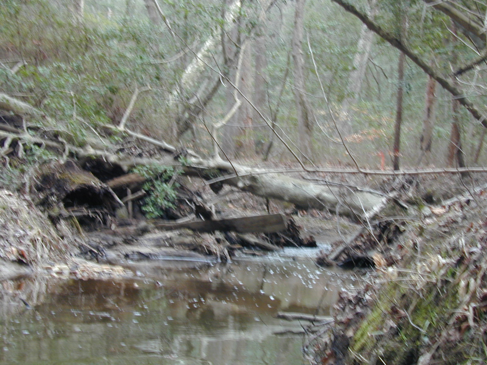 Field photo showing stream conditions at site PRMT-315-R-2002-434