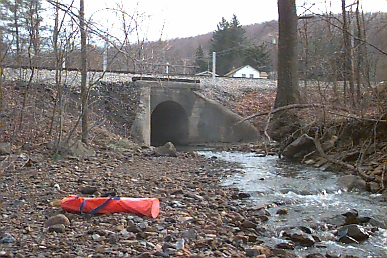 Field photo showing stream conditions at site PRUN-101-C-2000-01