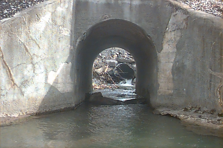 Field photo showing stream conditions at site PRUN-101-C-2000-02