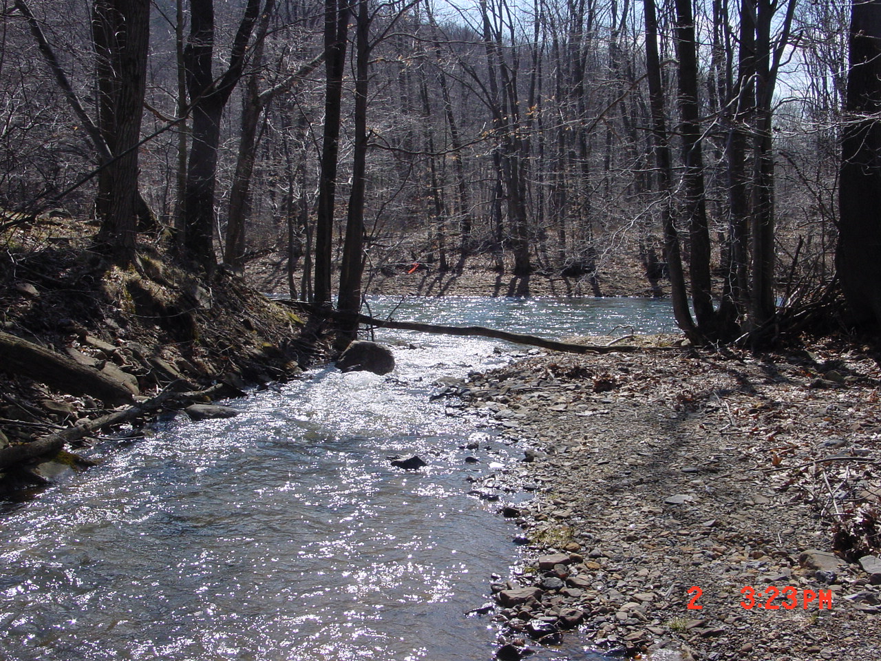 Field photo showing stream conditions at site PRUN-101-C-2001-1