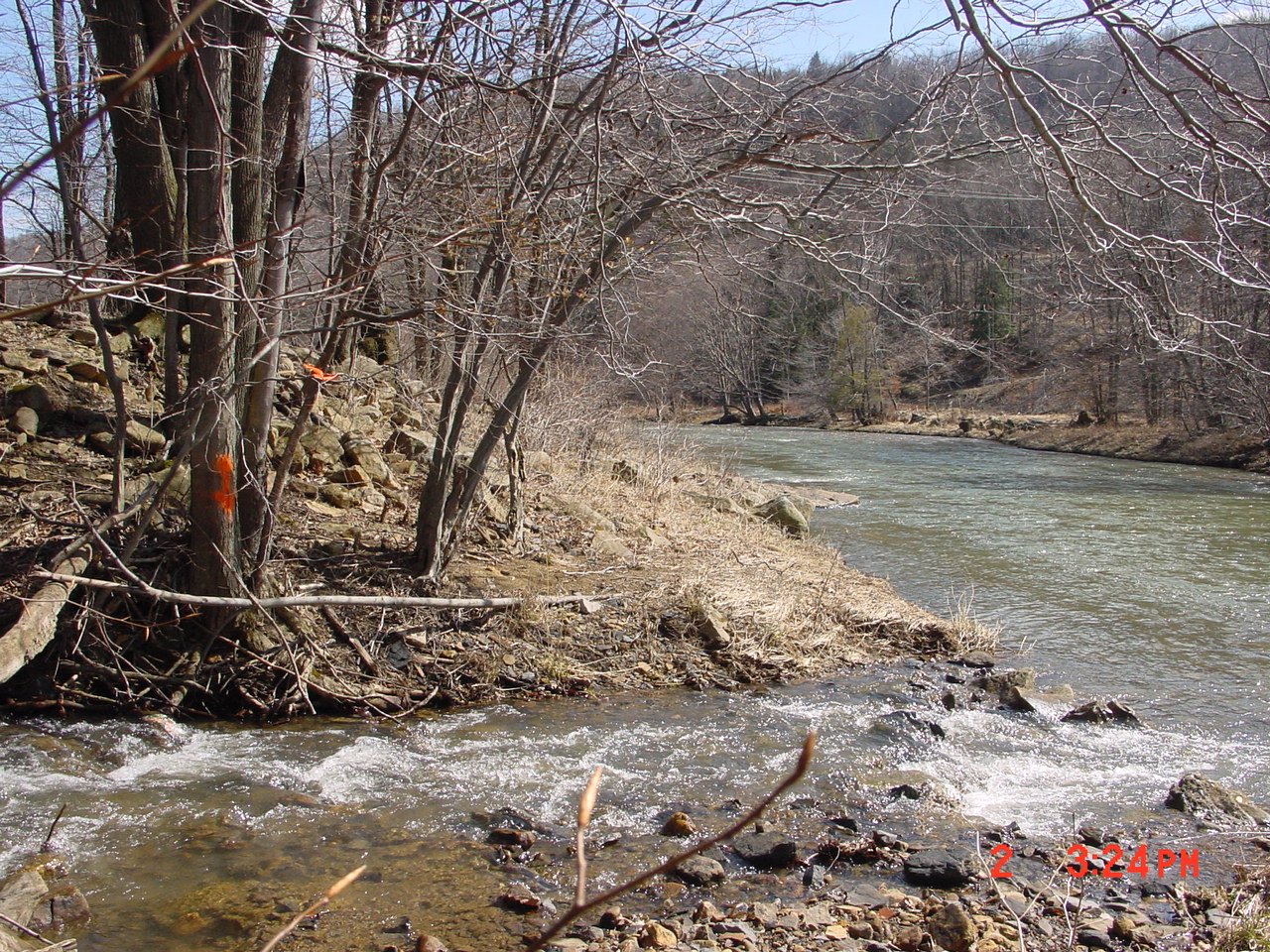 Field photo showing stream conditions at site PRUN-101-C-2001-3