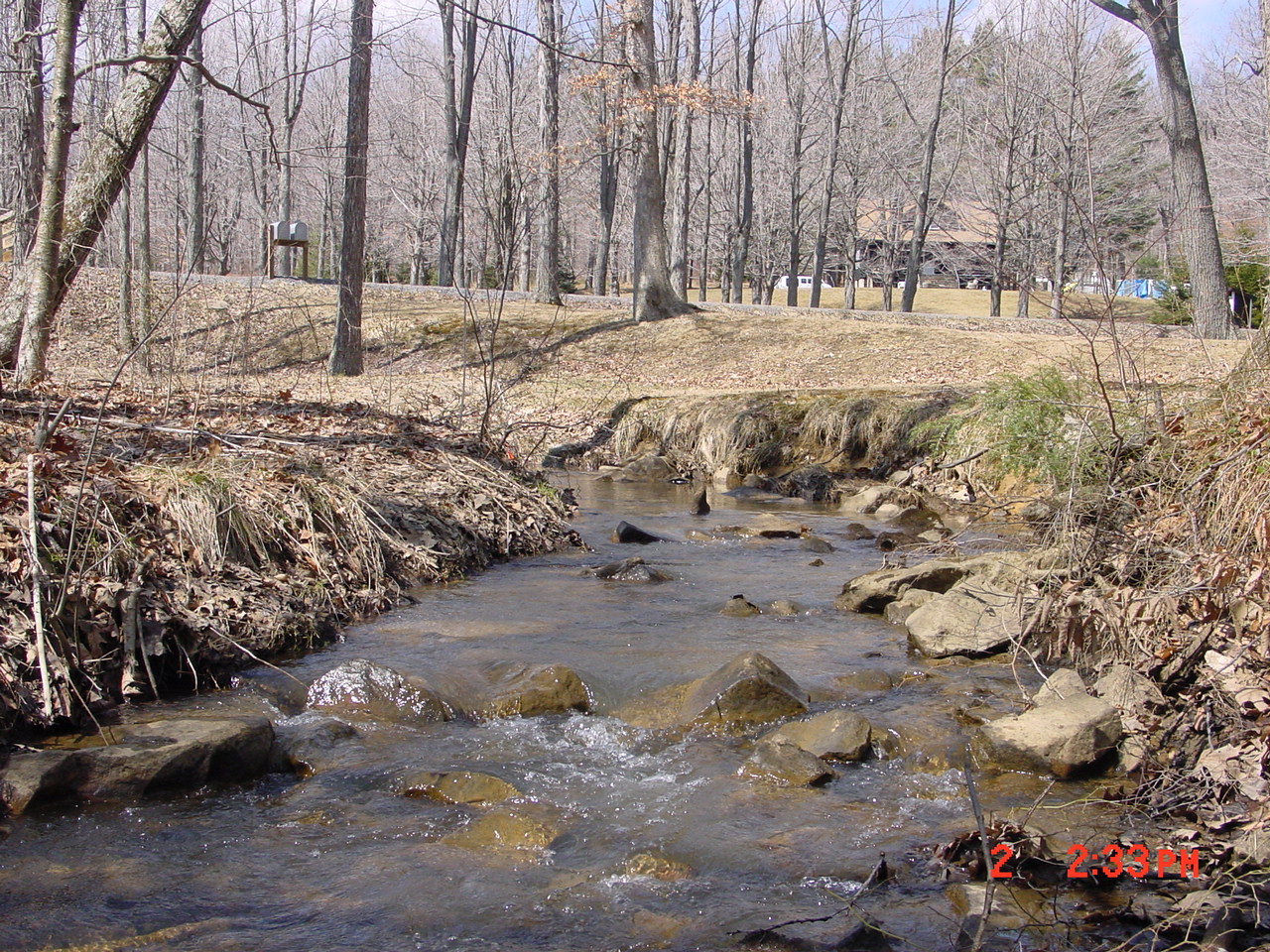 Field photo showing stream conditions at site PRUN-101-R-2001-1