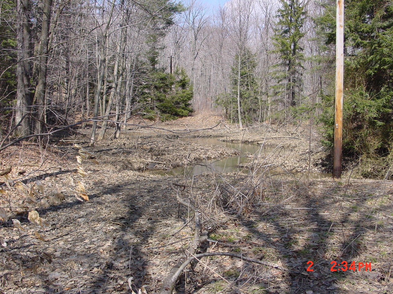 Field photo showing stream conditions at site PRUN-101-R-2001-2