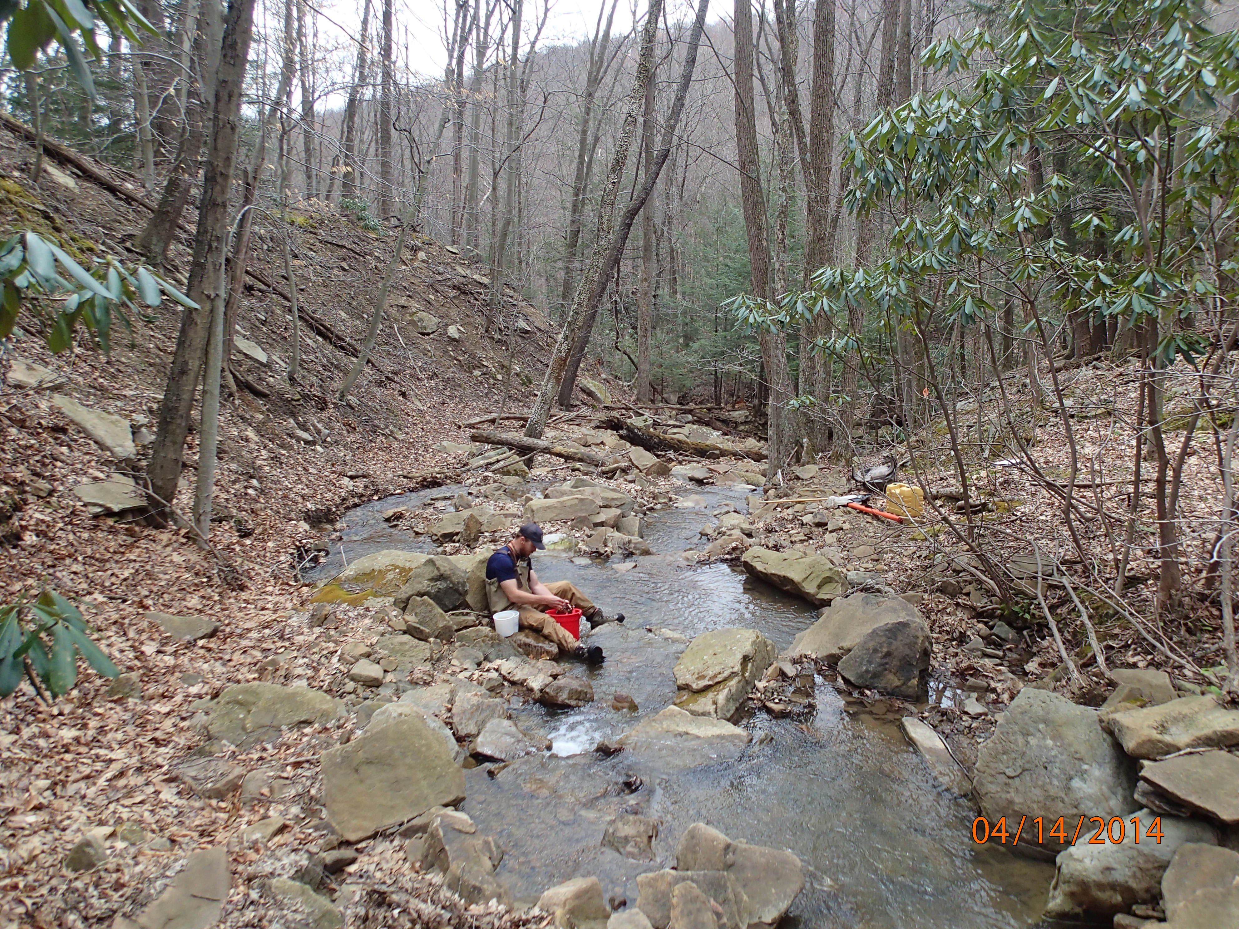 Field photo showing stream conditions at site PRUN-101-X-2014-MidpointDownstream