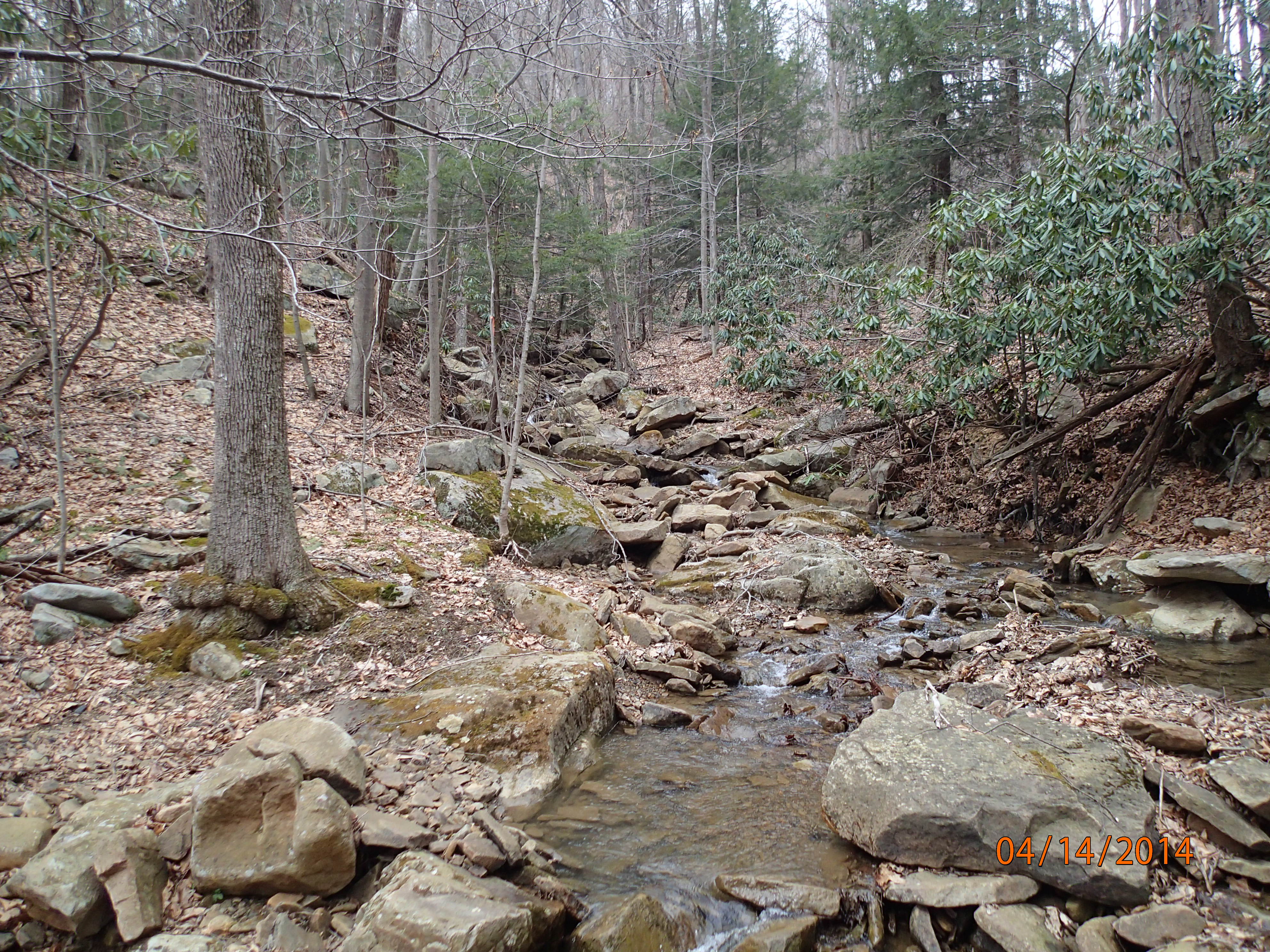 Field photo showing stream conditions at site PRUN-101-X-2014-MidpointUpstream