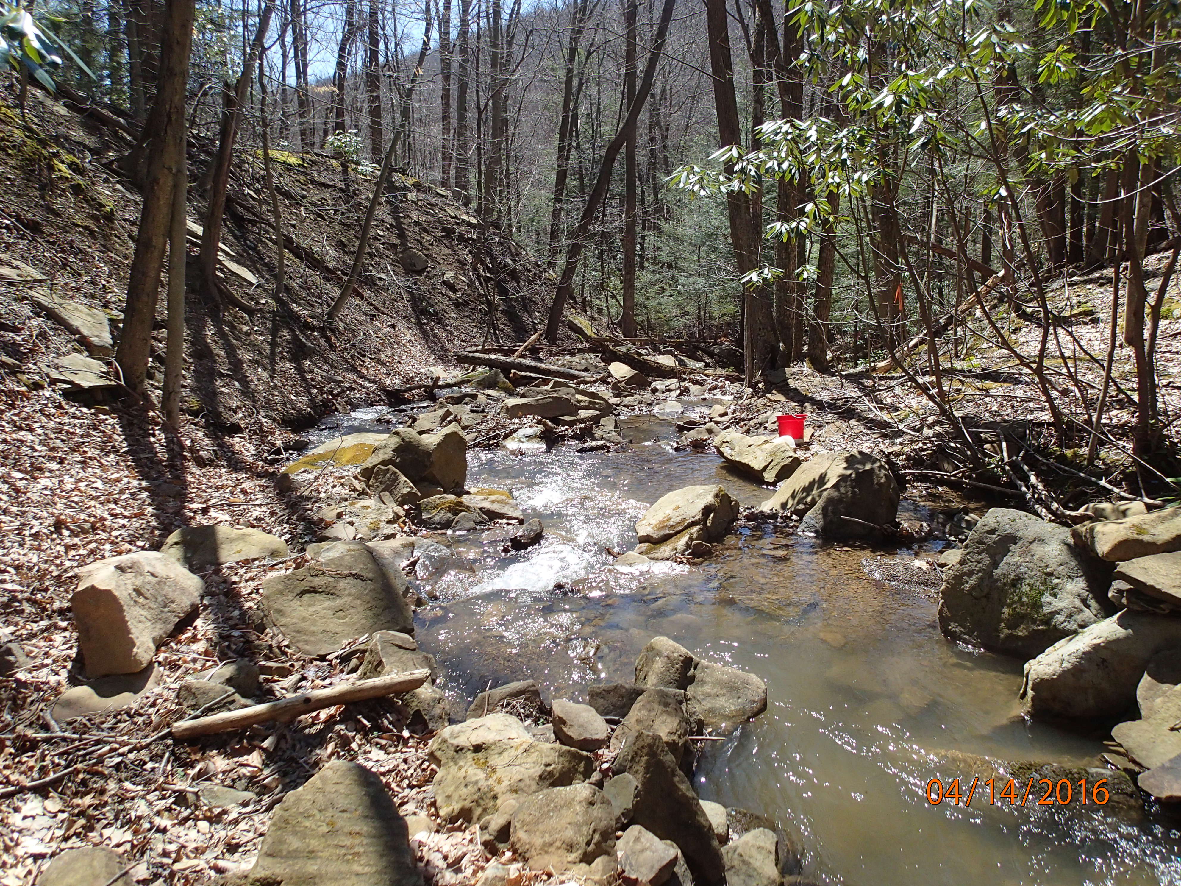 Field photo showing stream conditions at site PRUN-101-X-2016-MidpointDownstream