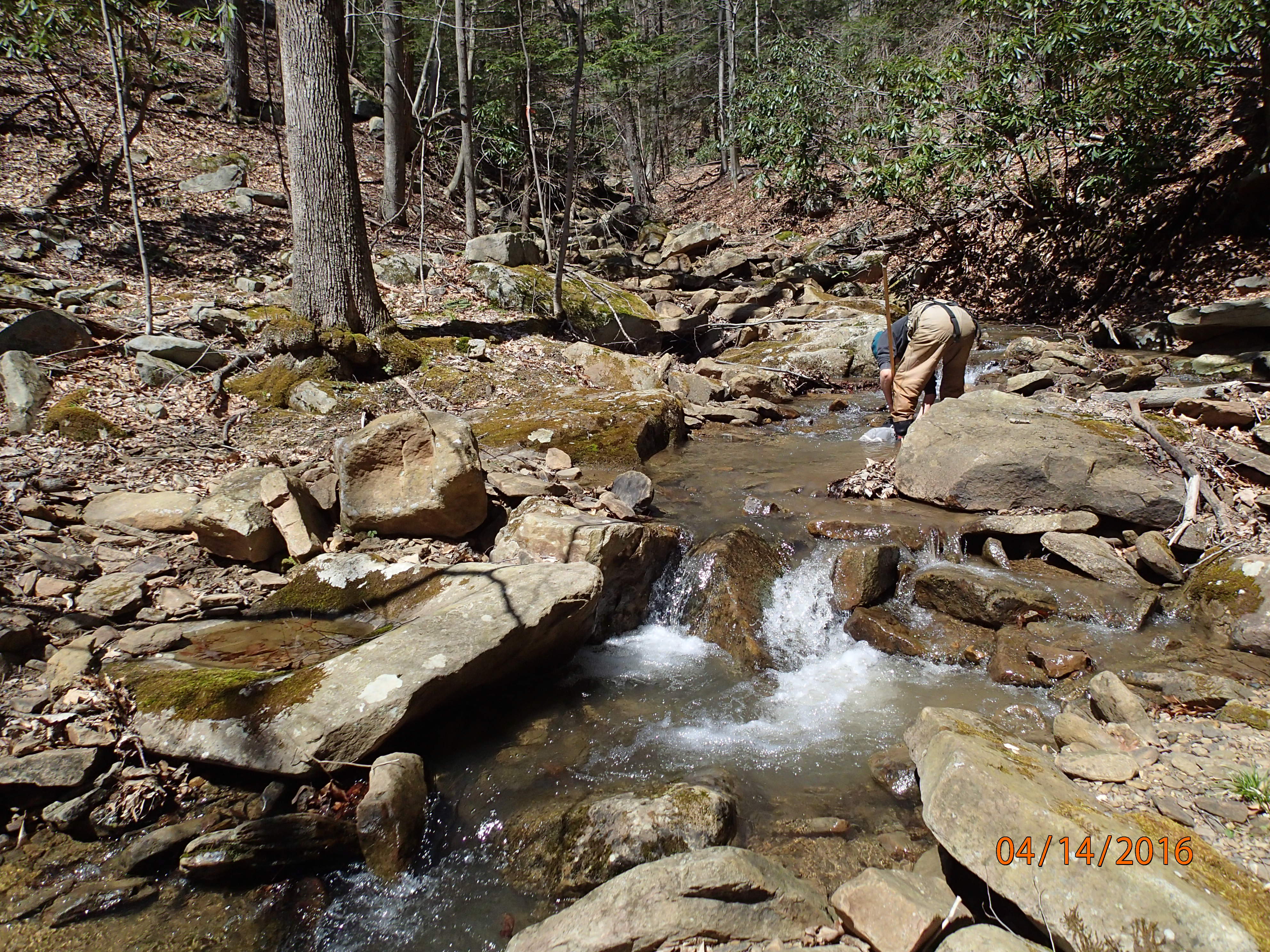 Field photo showing stream conditions at site PRUN-101-X-2016-MidpointUpstream