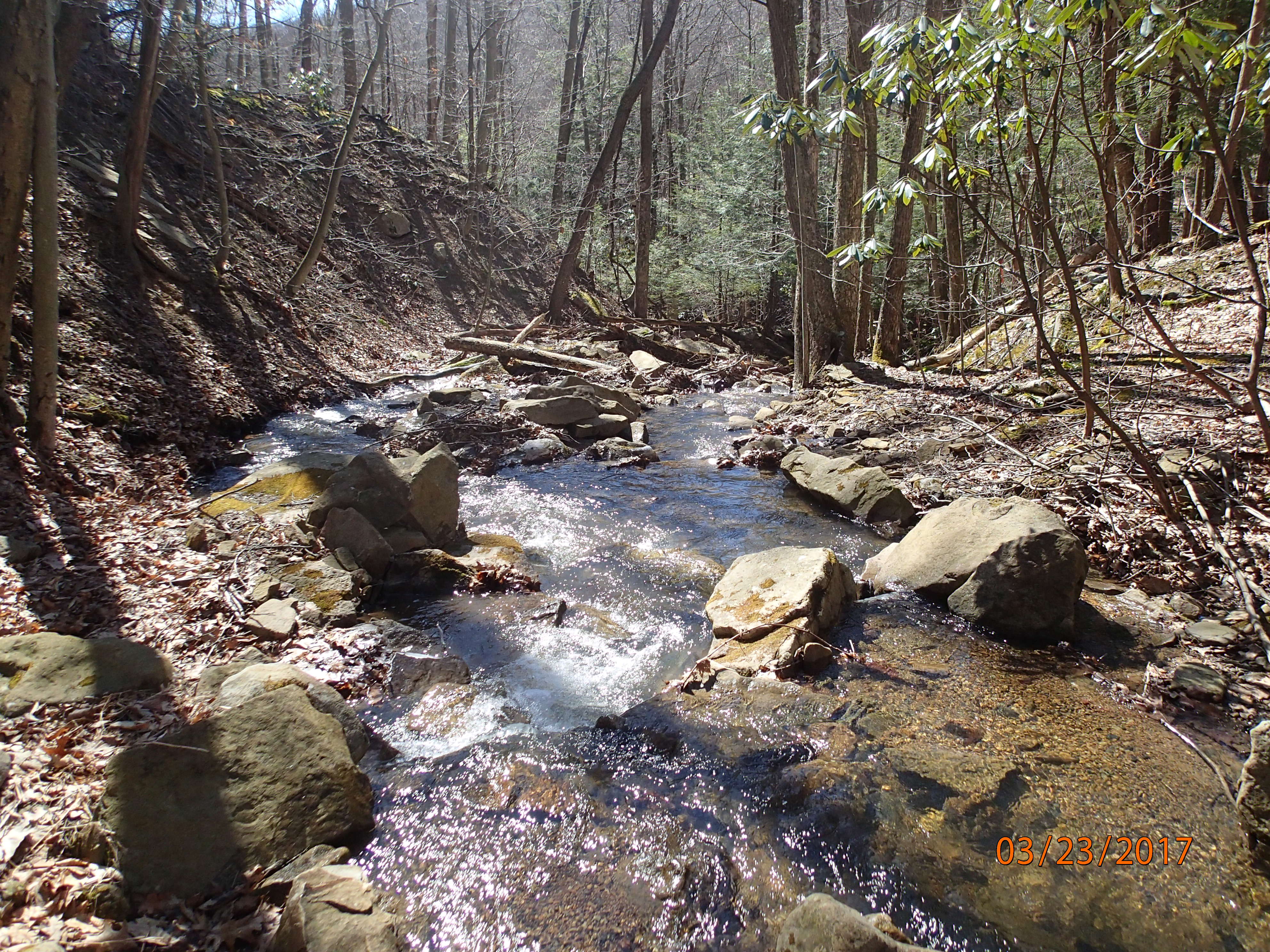 Field photo showing stream conditions at site PRUN-101-X-2017-MidpointDownstream
