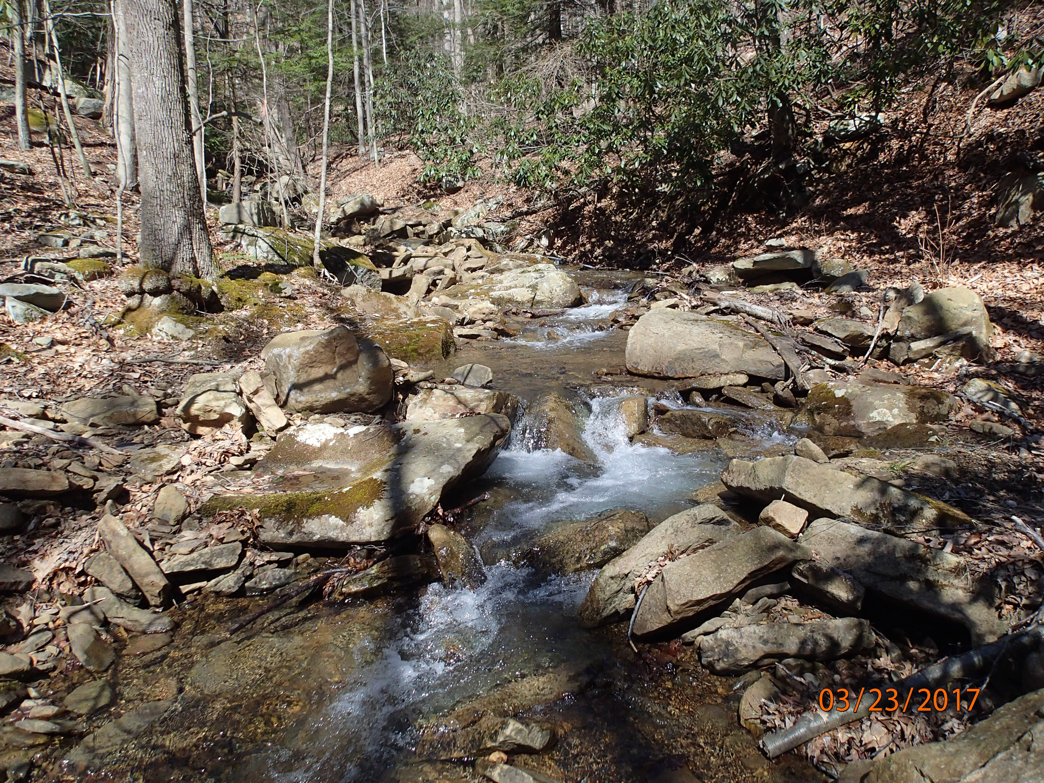 Field photo showing stream conditions at site PRUN-101-X-2017-MidpointUpstream