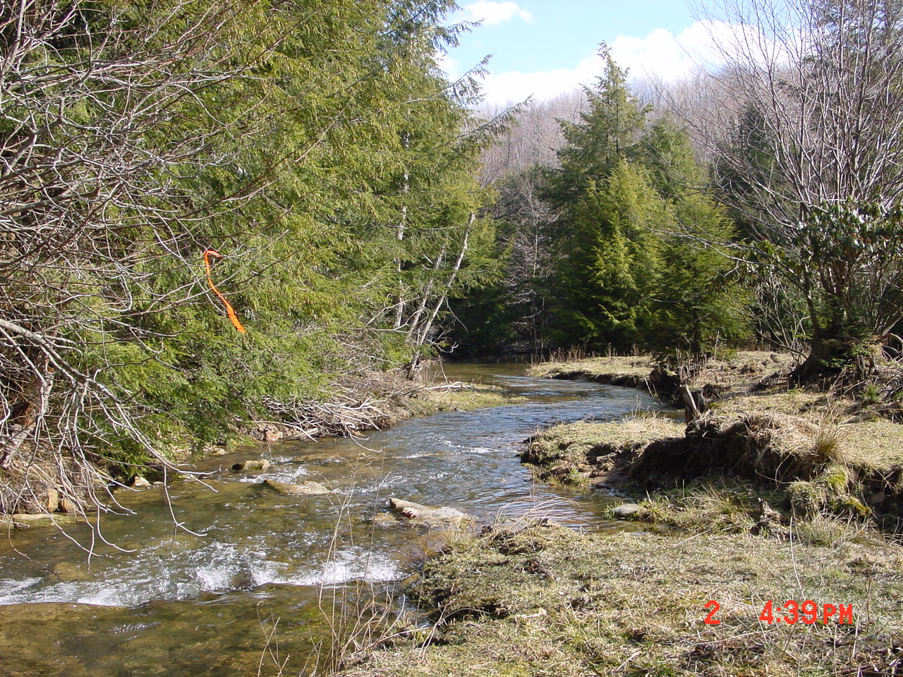 Field photo showing stream conditions at site PRUN-102-R-2001-1
