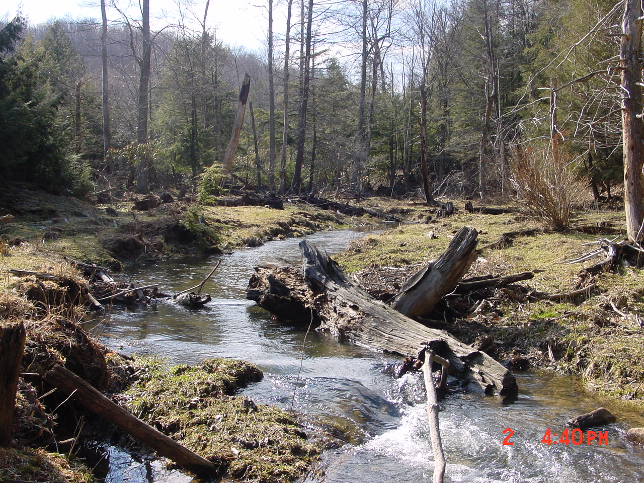 Field photo showing stream conditions at site PRUN-102-R-2001-2