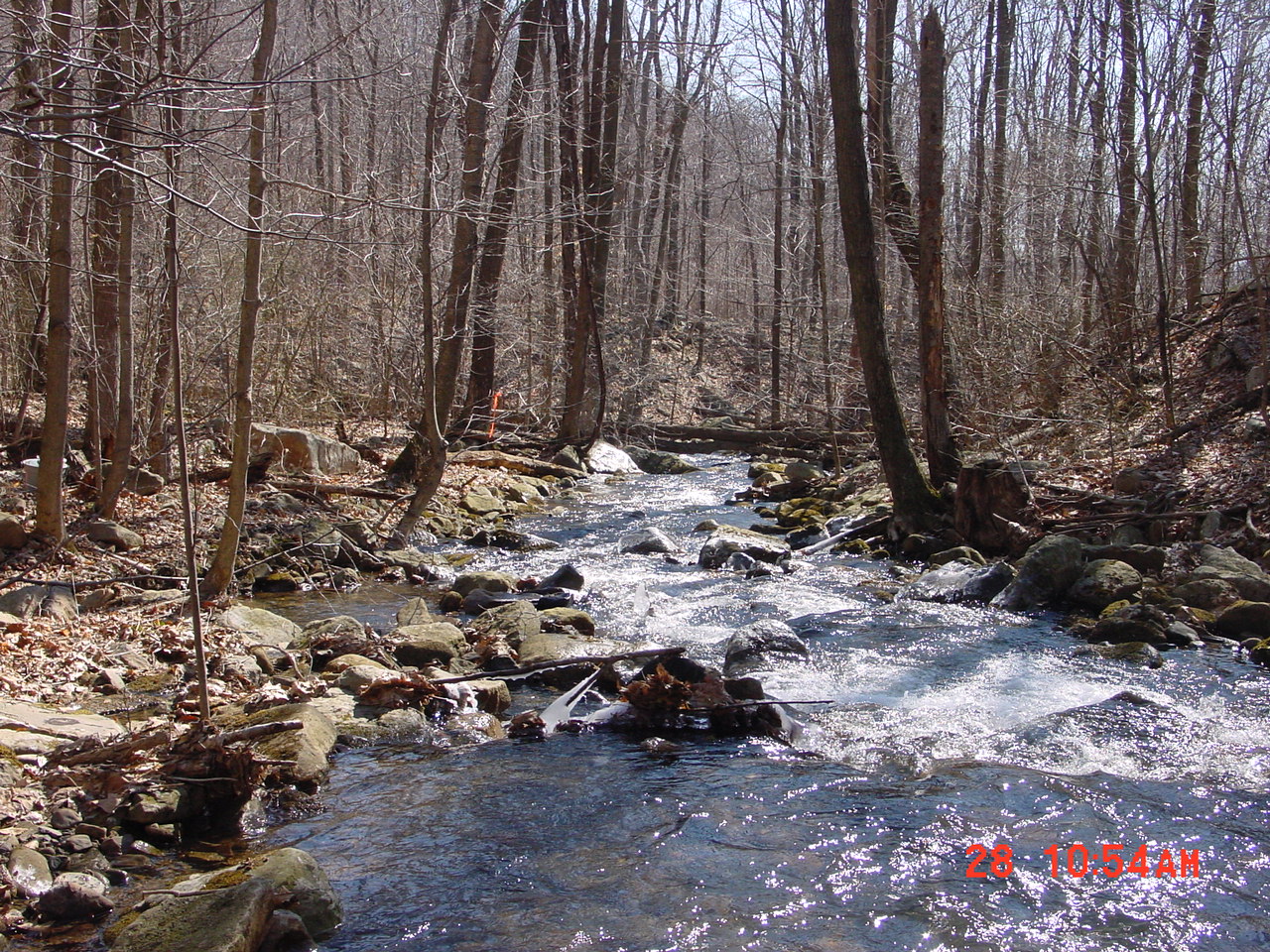 Field photo showing stream conditions at site PRUN-103-R-2001-1