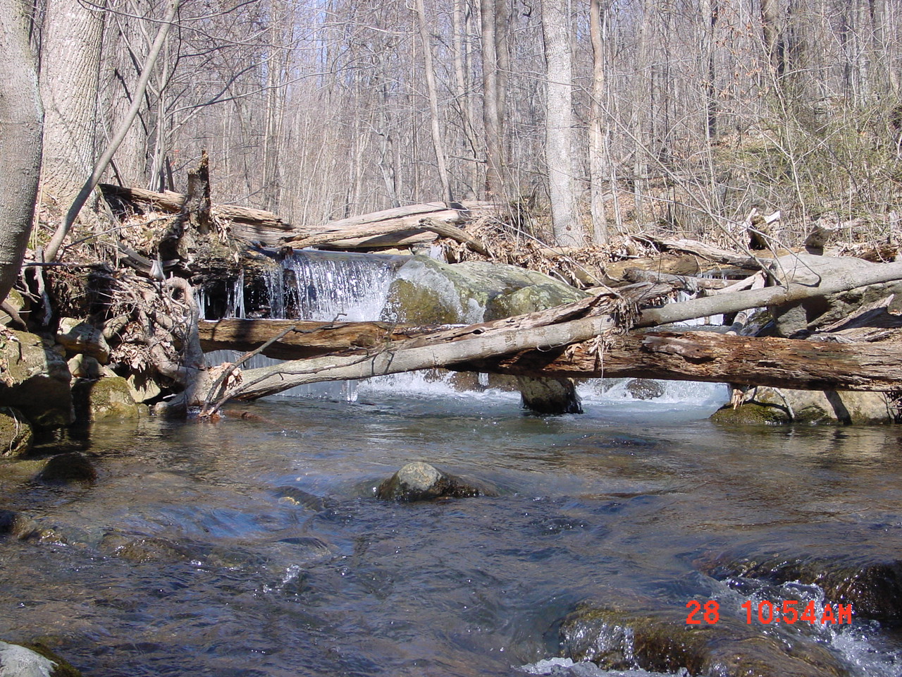 Field photo showing stream conditions at site PRUN-103-R-2001-2