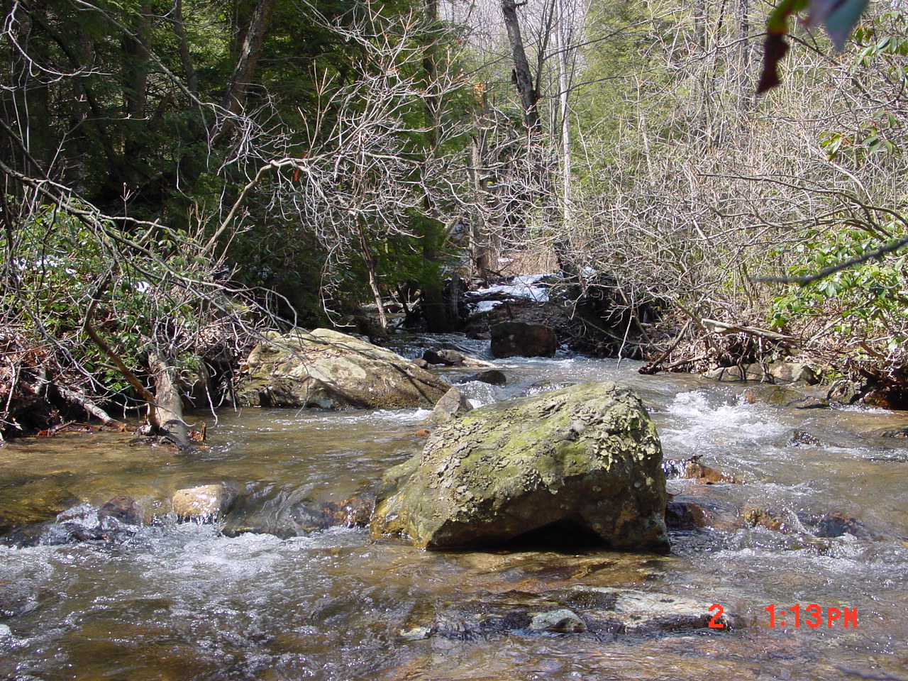 Field photo showing stream conditions at site PRUN-104-R-2001-1