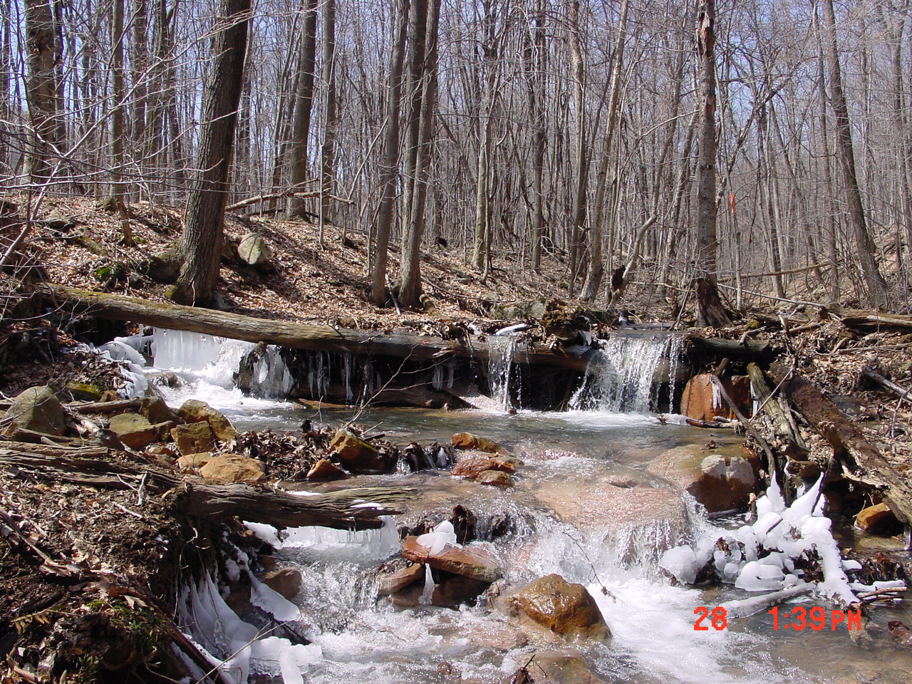 Field photo showing stream conditions at site PRUN-106-R-2001-1