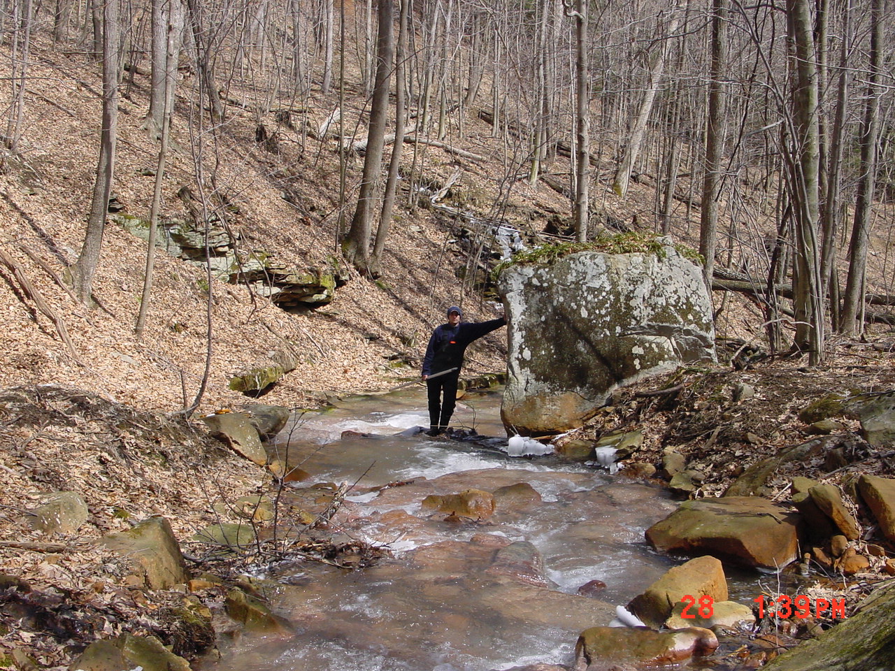 Field photo showing stream conditions at site PRUN-106-R-2001-2
