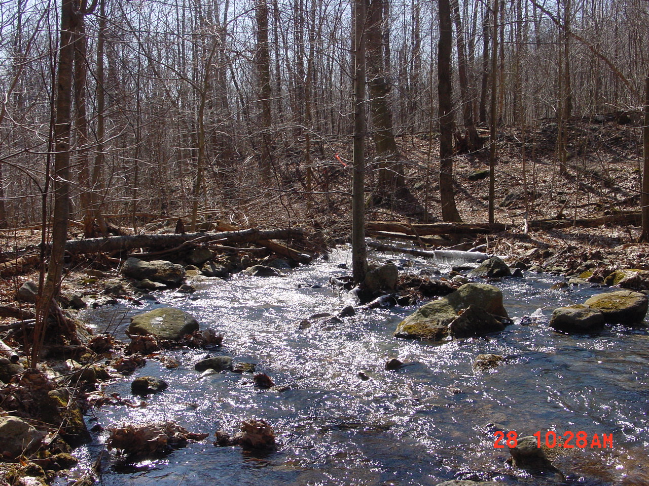Field photo showing stream conditions at site PRUN-107-R-2001-1