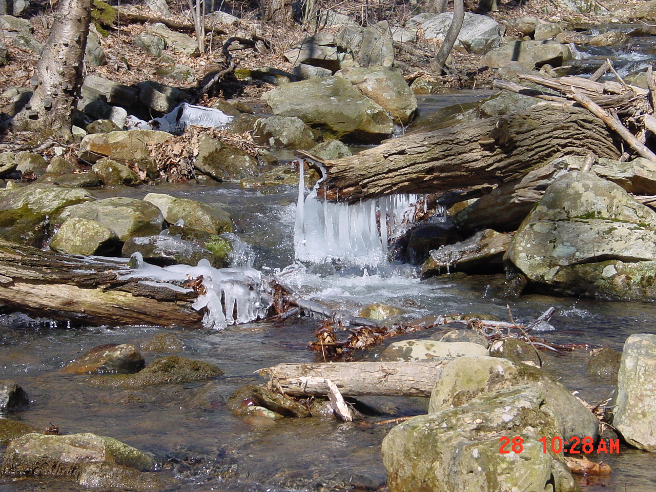 Field photo showing stream conditions at site PRUN-107-R-2001-2