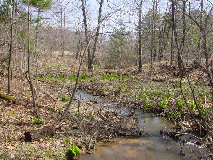 Field photo showing stream conditions at site PRUN-107-R-2007-2