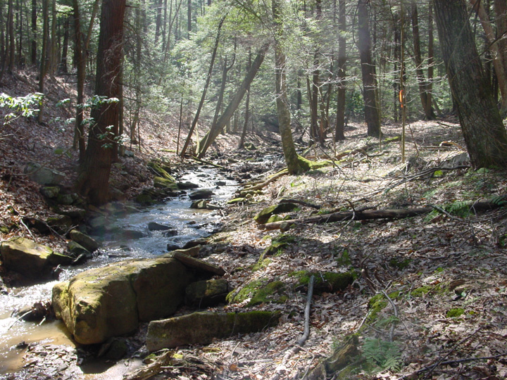 Field photo showing stream conditions at site PRUN-108-R-2007-1