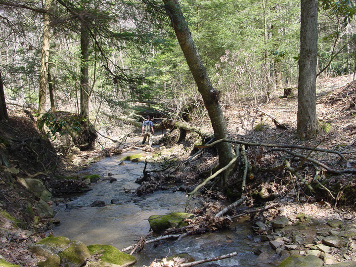 Field photo showing stream conditions at site PRUN-108-R-2007-2