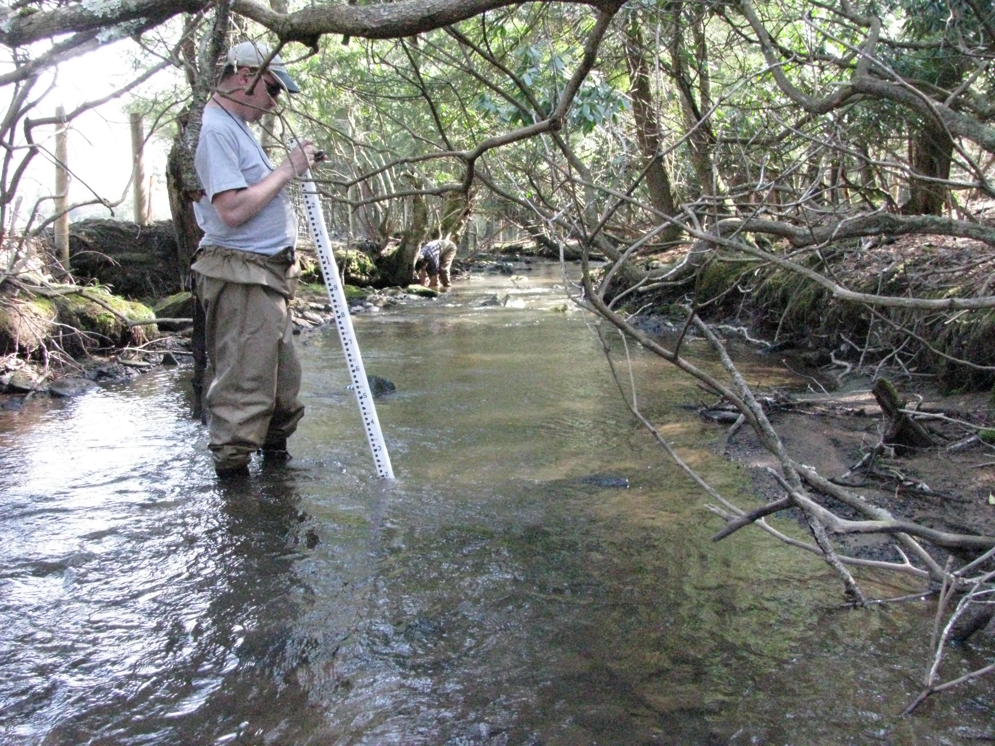 Field photo showing stream conditions at site PRUN-190-B-2012-2