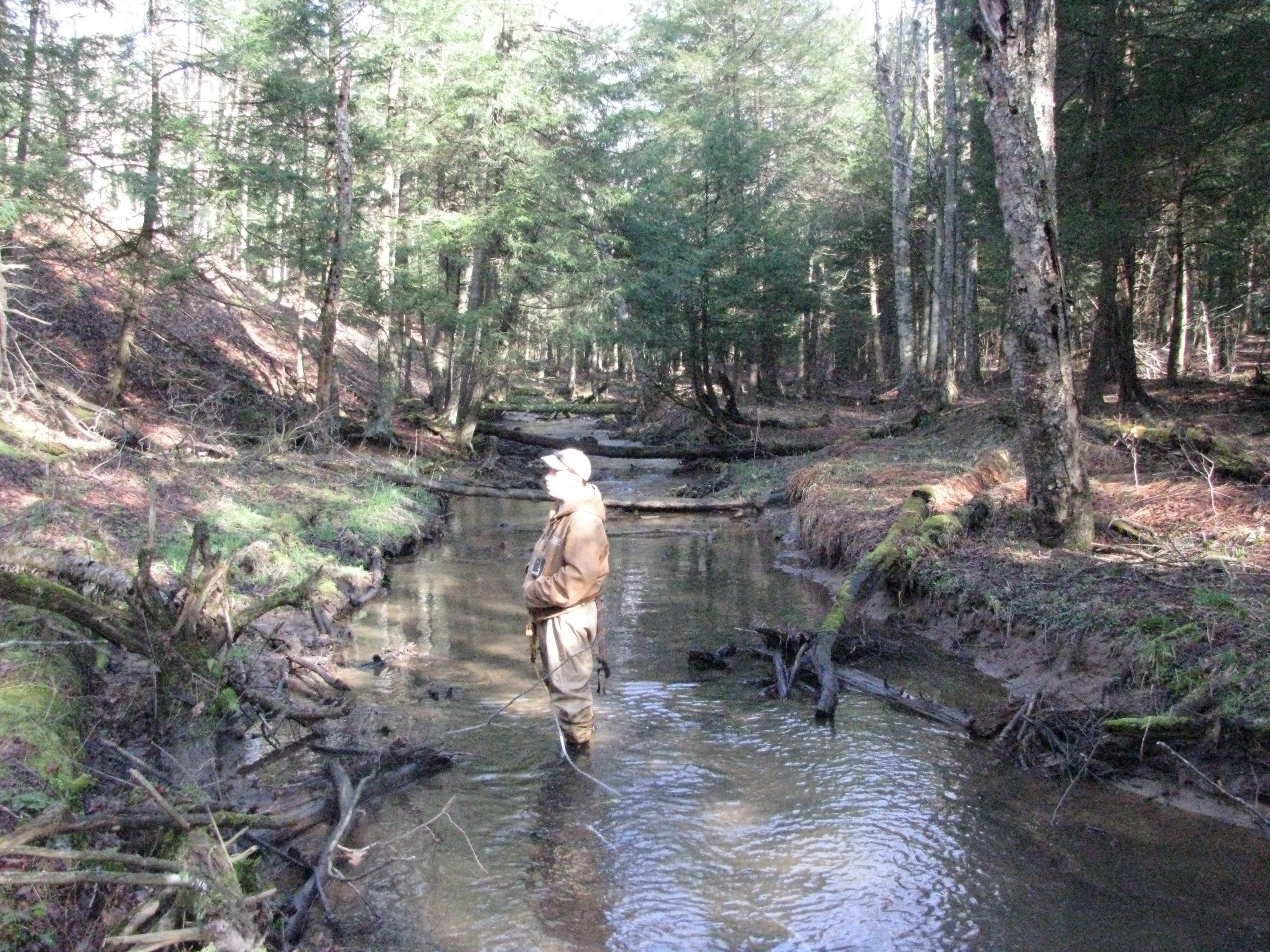 Field photo showing stream conditions at site PRUN-191-B-2012-1