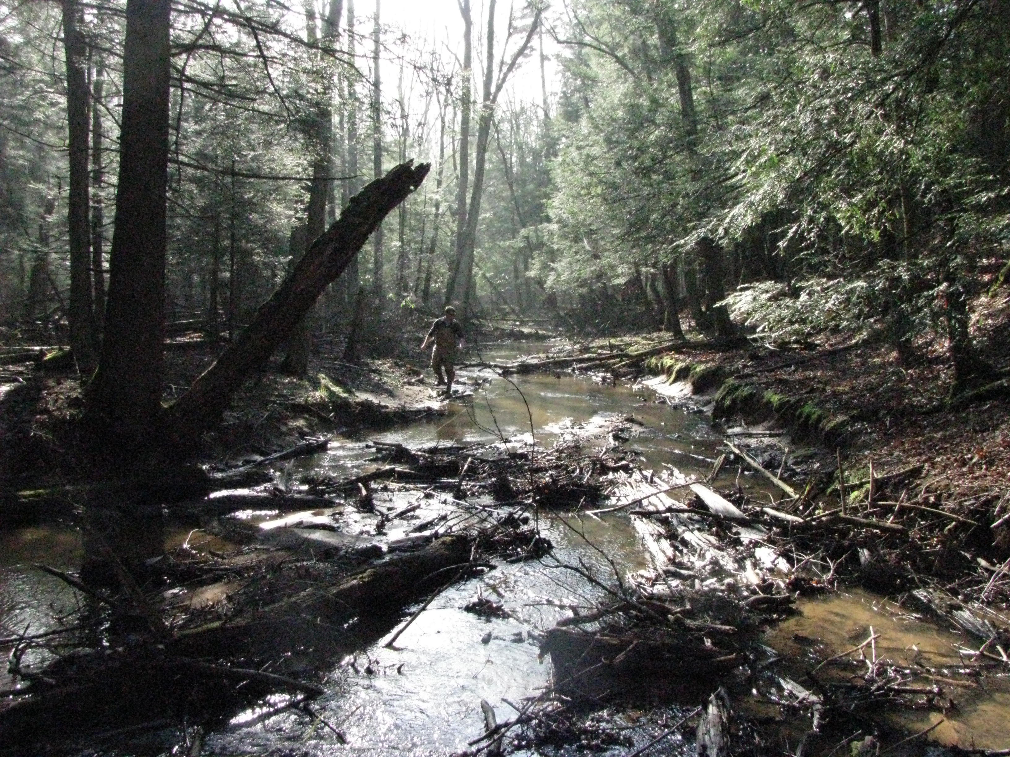 Field photo showing stream conditions at site PRUN-191-B-2012-2