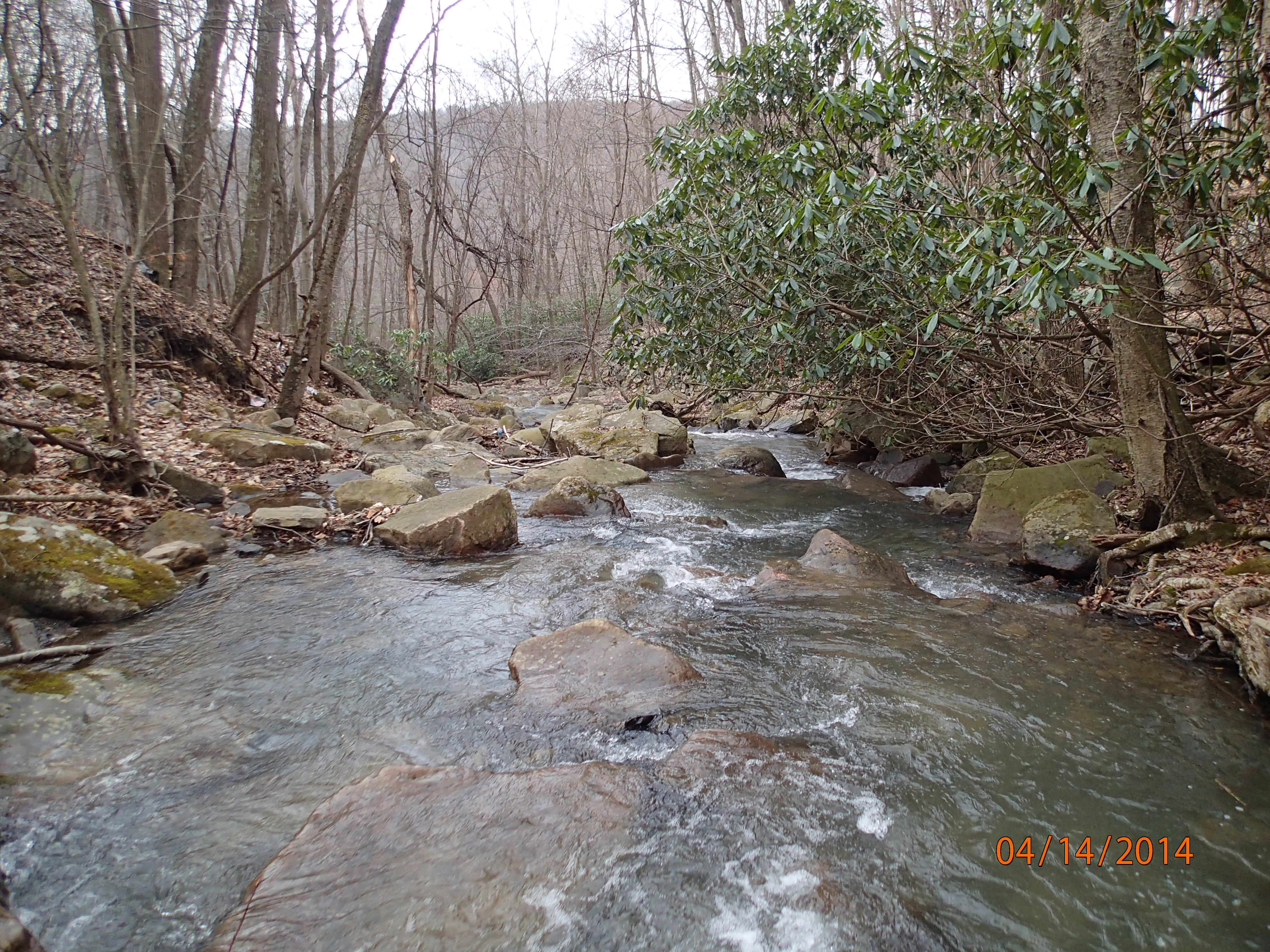 Field photo showing stream conditions at site PRUN-201-X-2014-MidpointDownstream