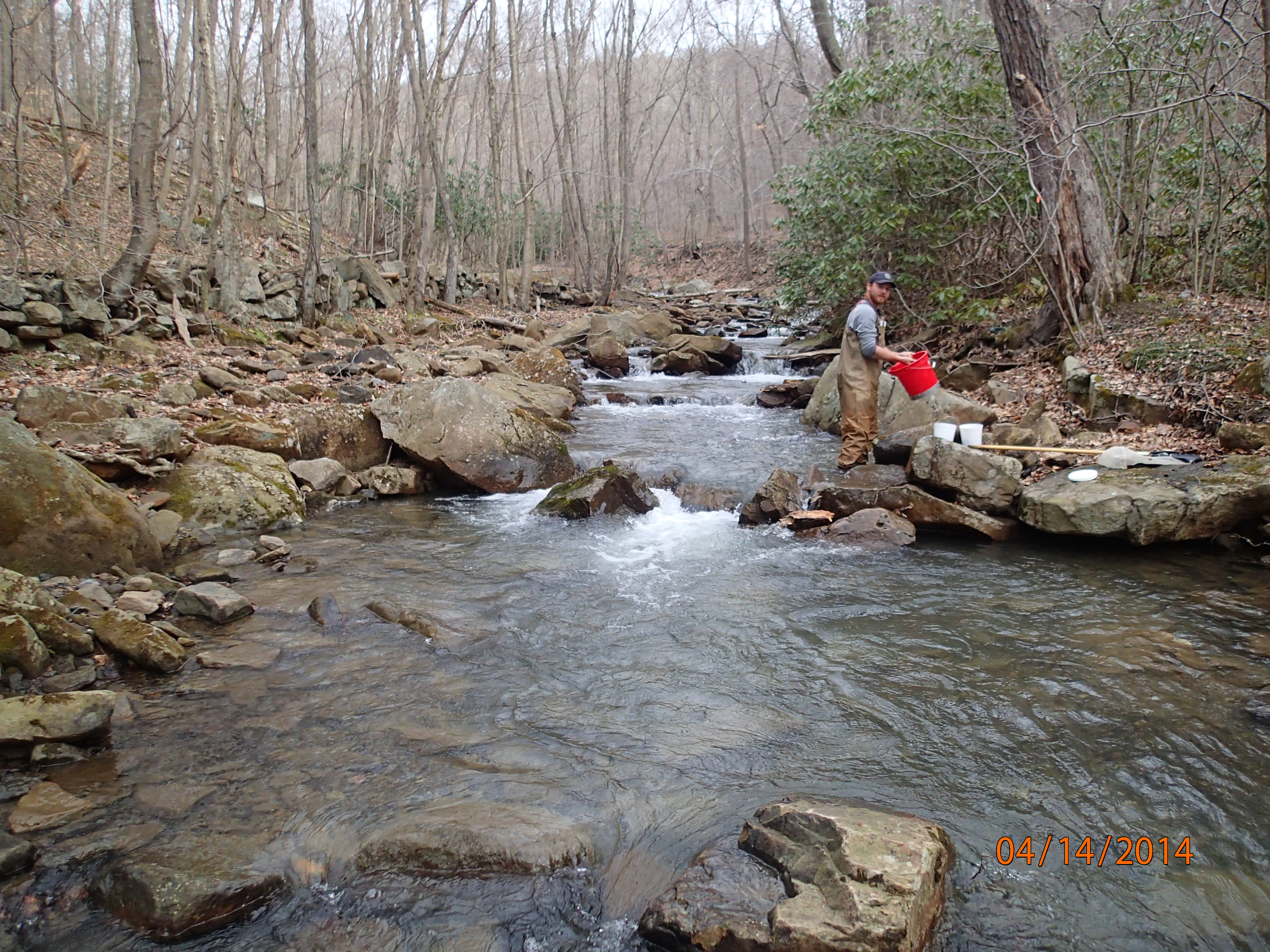 Field photo showing stream conditions at site PRUN-201-X-2014-MidpointUpstream