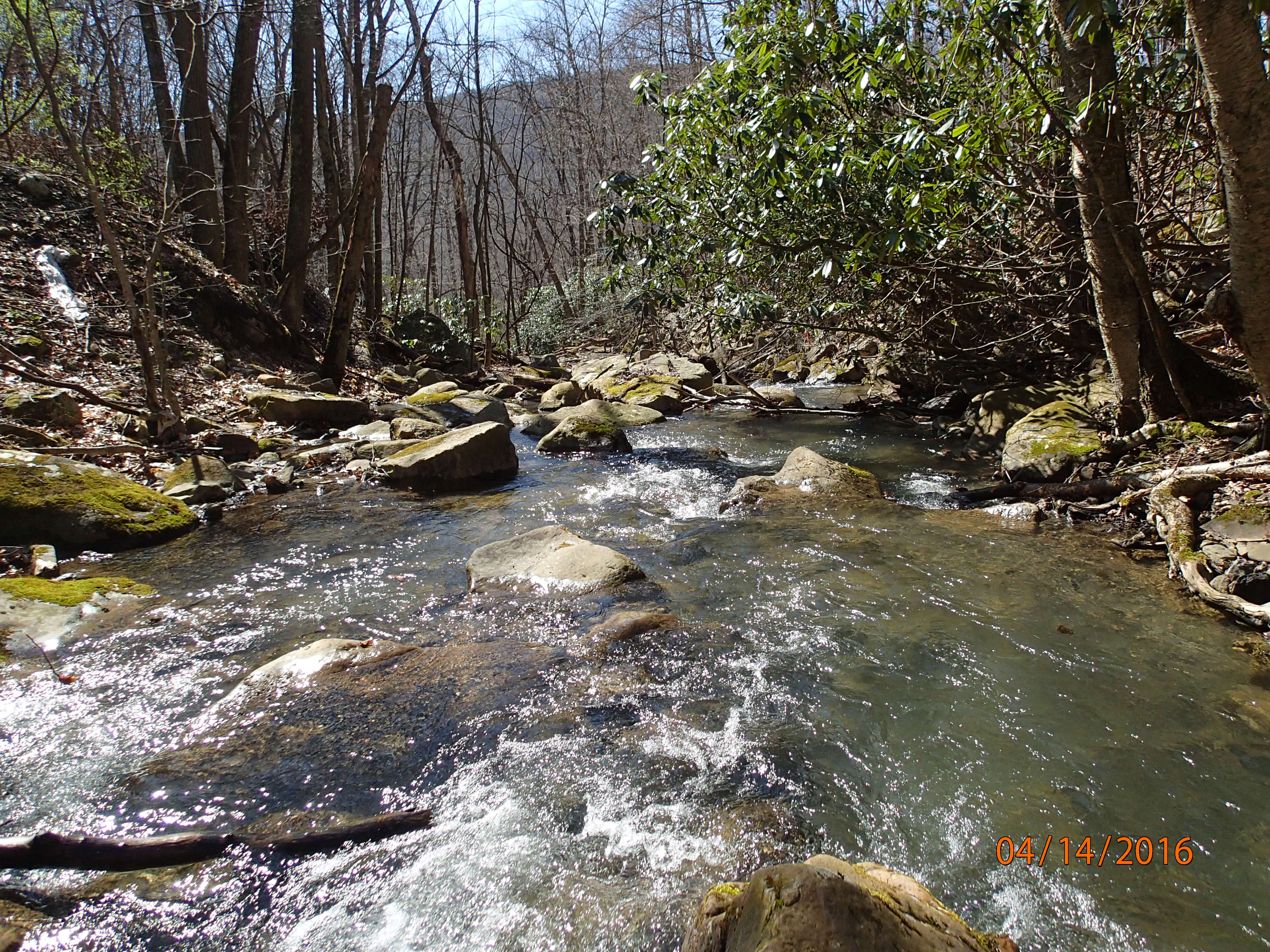Field photo showing stream conditions at site PRUN-201-X-2016-MidpointDownstream