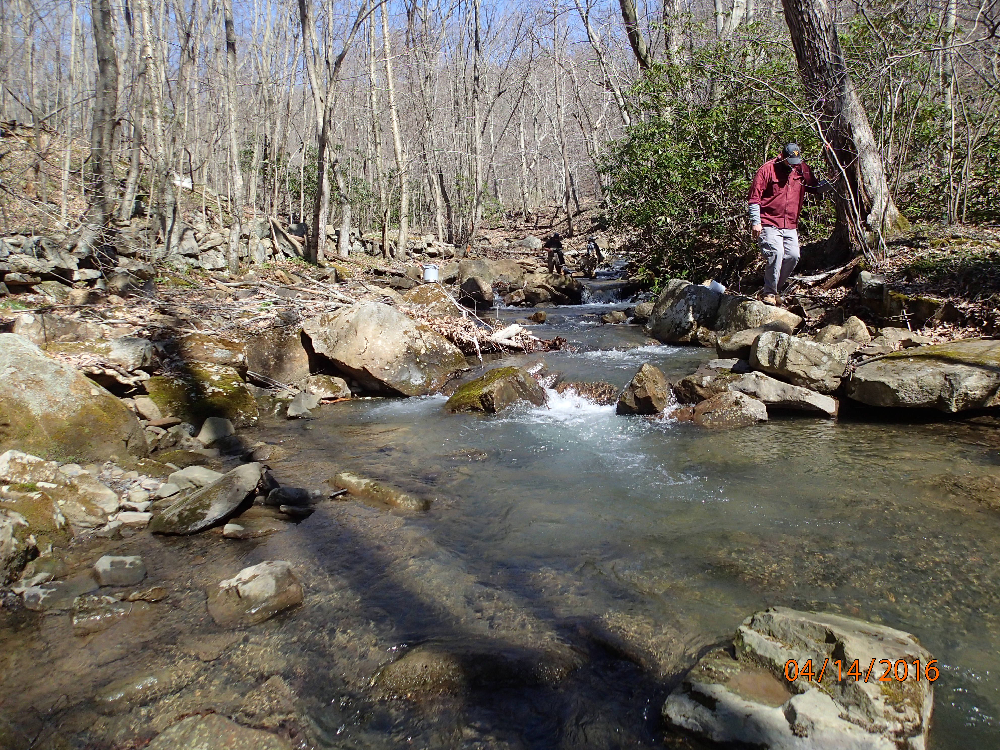 Field photo showing stream conditions at site PRUN-201-X-2016-MidpointUpstream