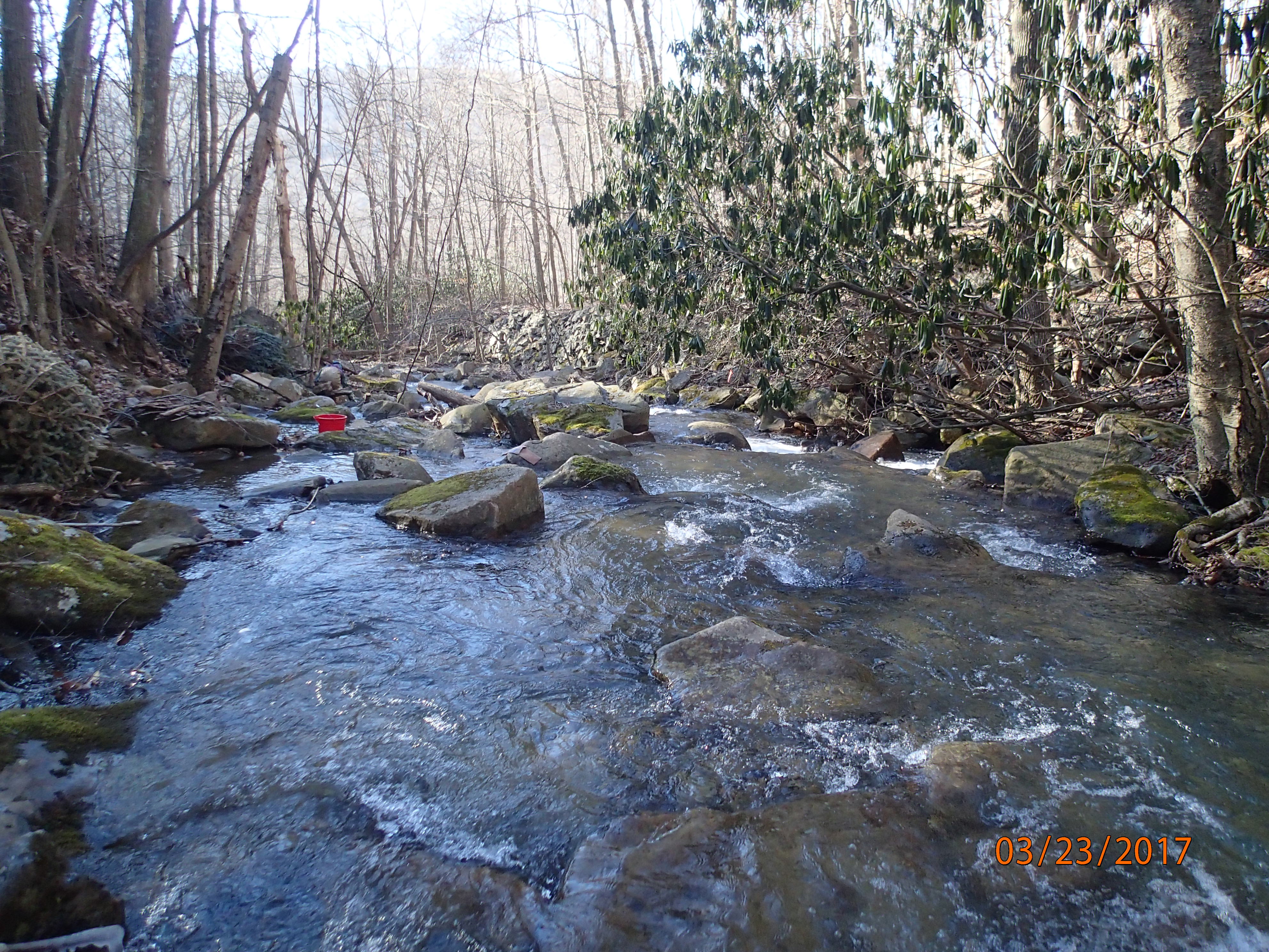 Field photo showing stream conditions at site PRUN-201-X-2017-MidpointDownstream