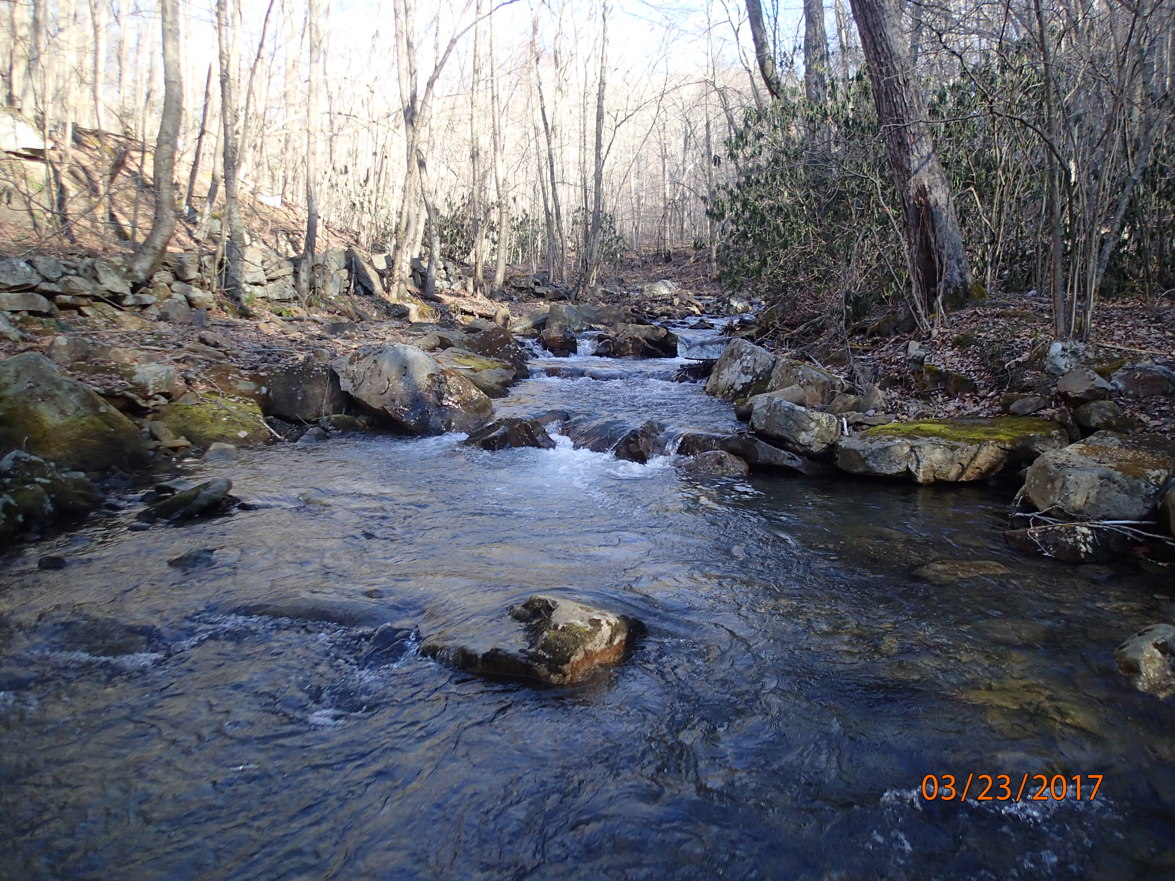 Field photo showing stream conditions at site PRUN-201-X-2017-MidpointUpstream