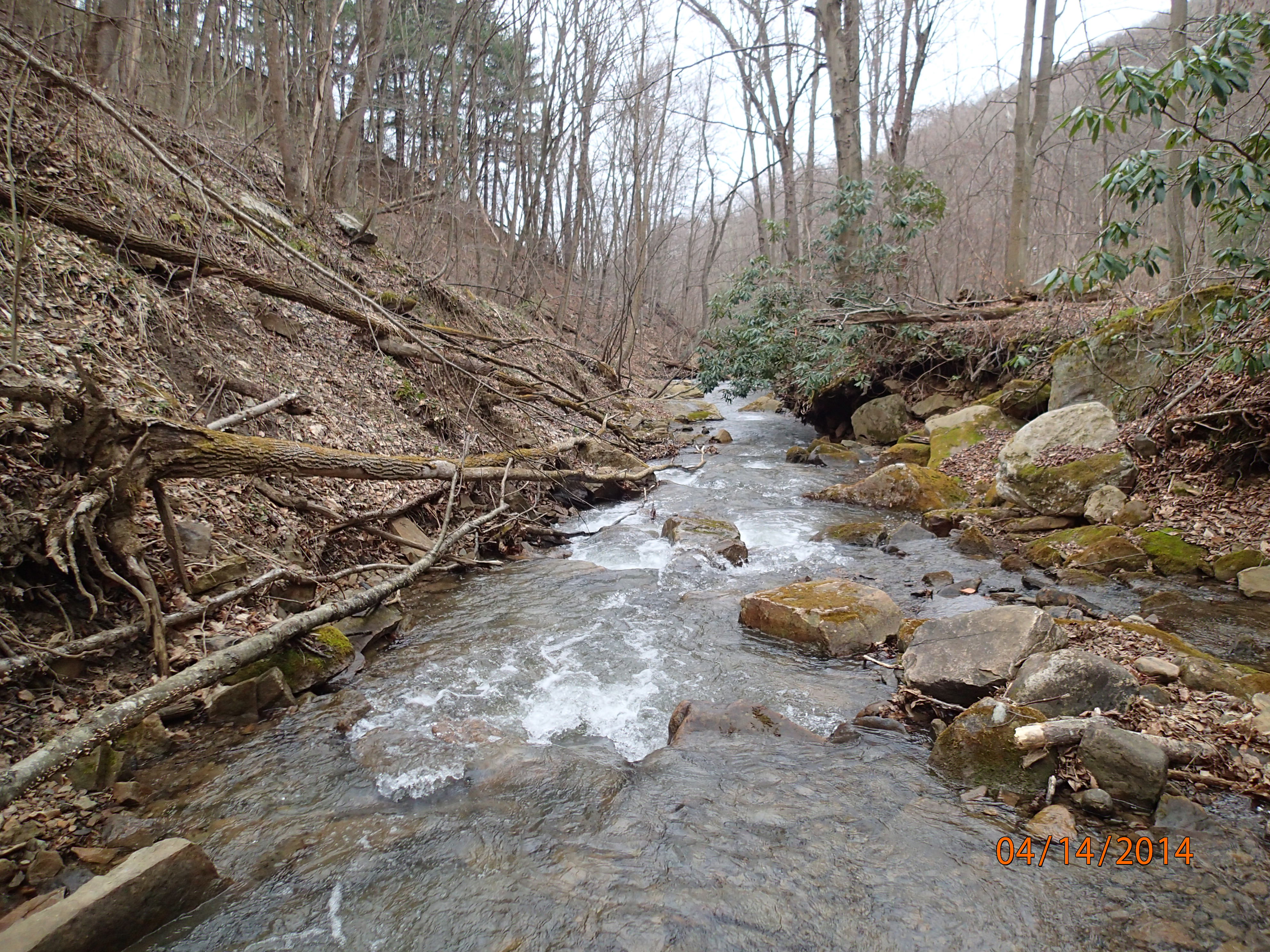 Field photo showing stream conditions at site PRUN-202-X-2014-MidpointDownstream
